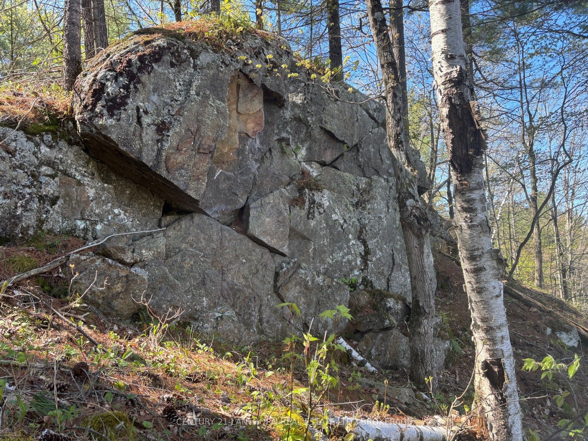 1085 Old Mine Road Property Photo 12