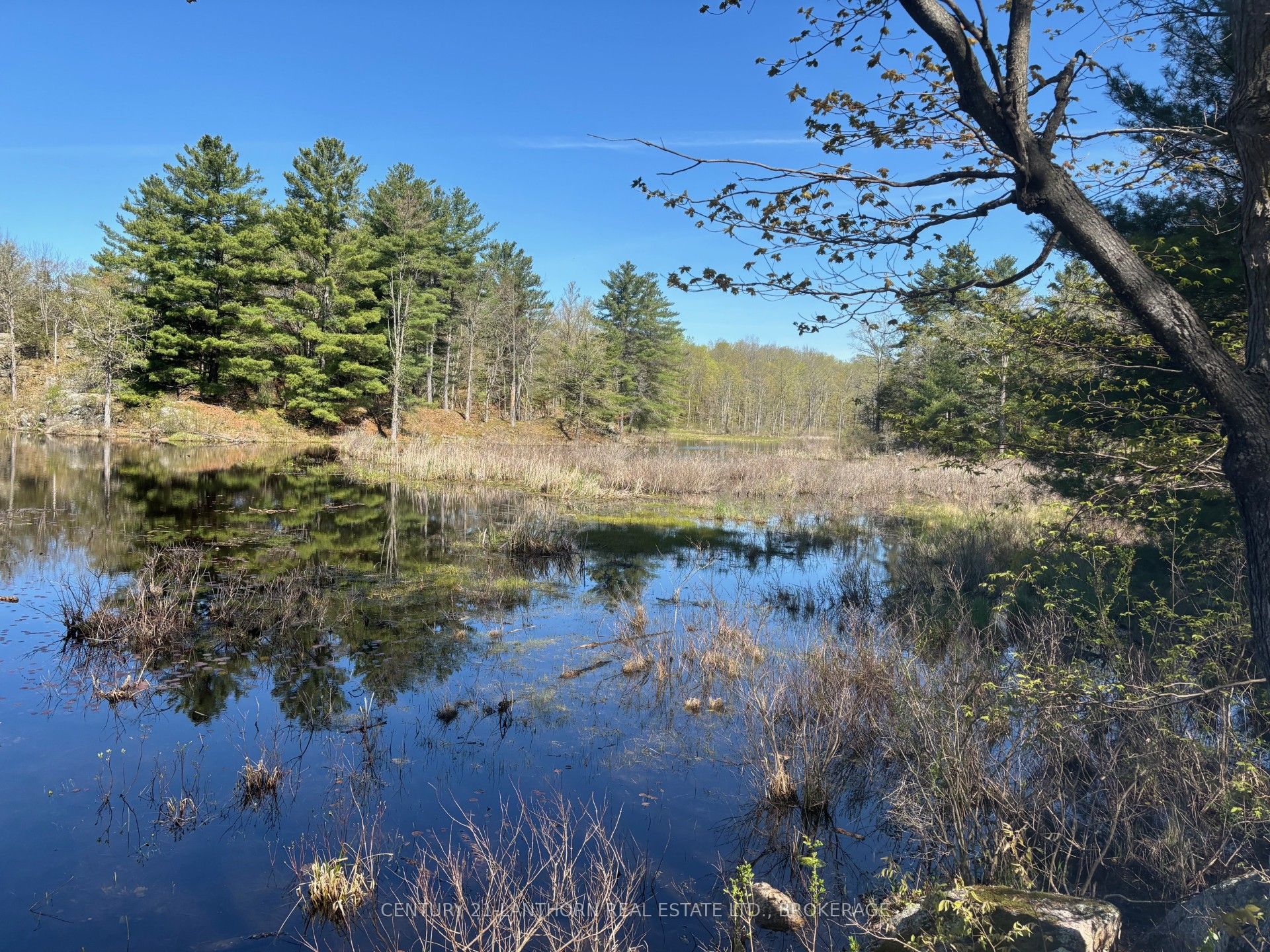 1085 Old Mine Road Property Photo 14