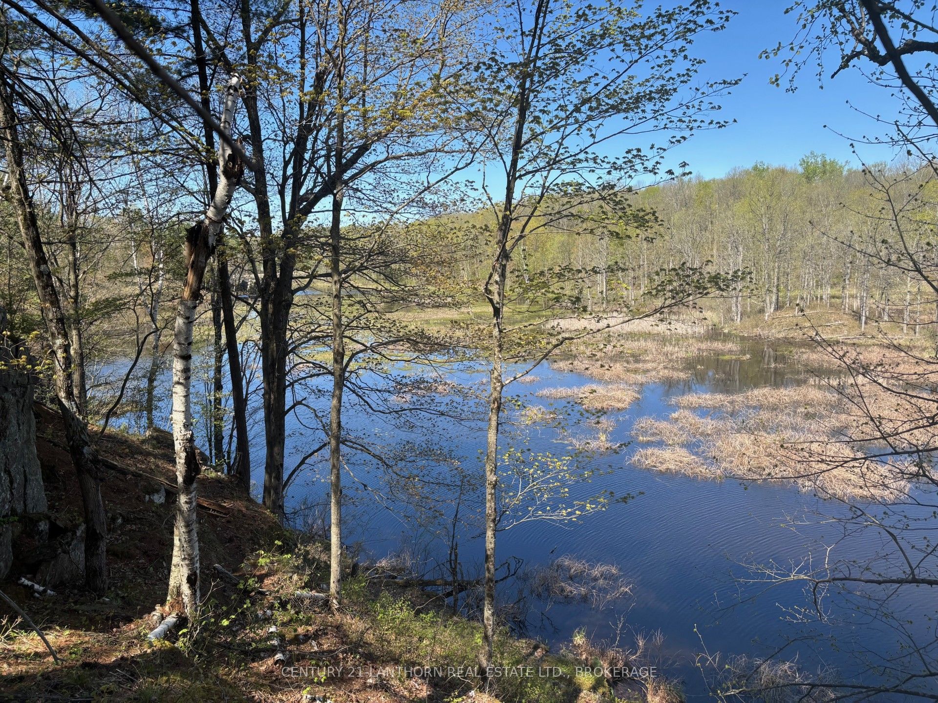 1085 Old Mine Road Property Photo 16