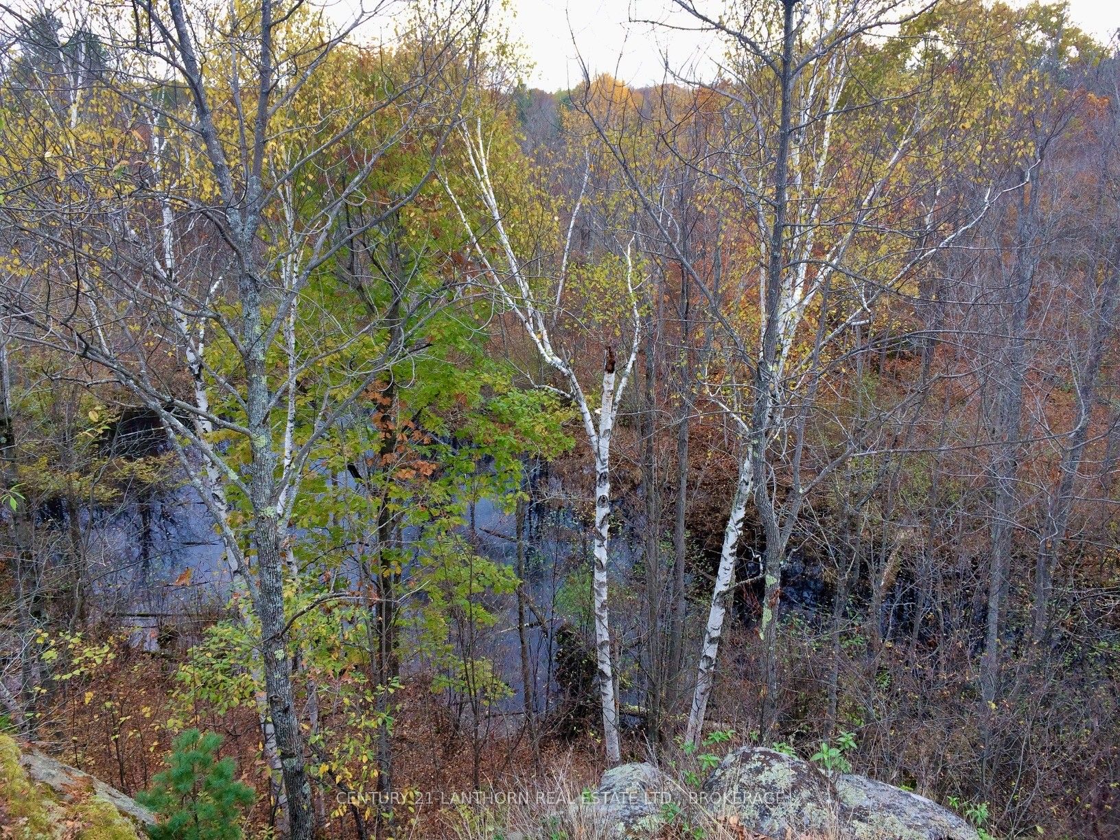 1085 Old Mine Road Property Photo 17
