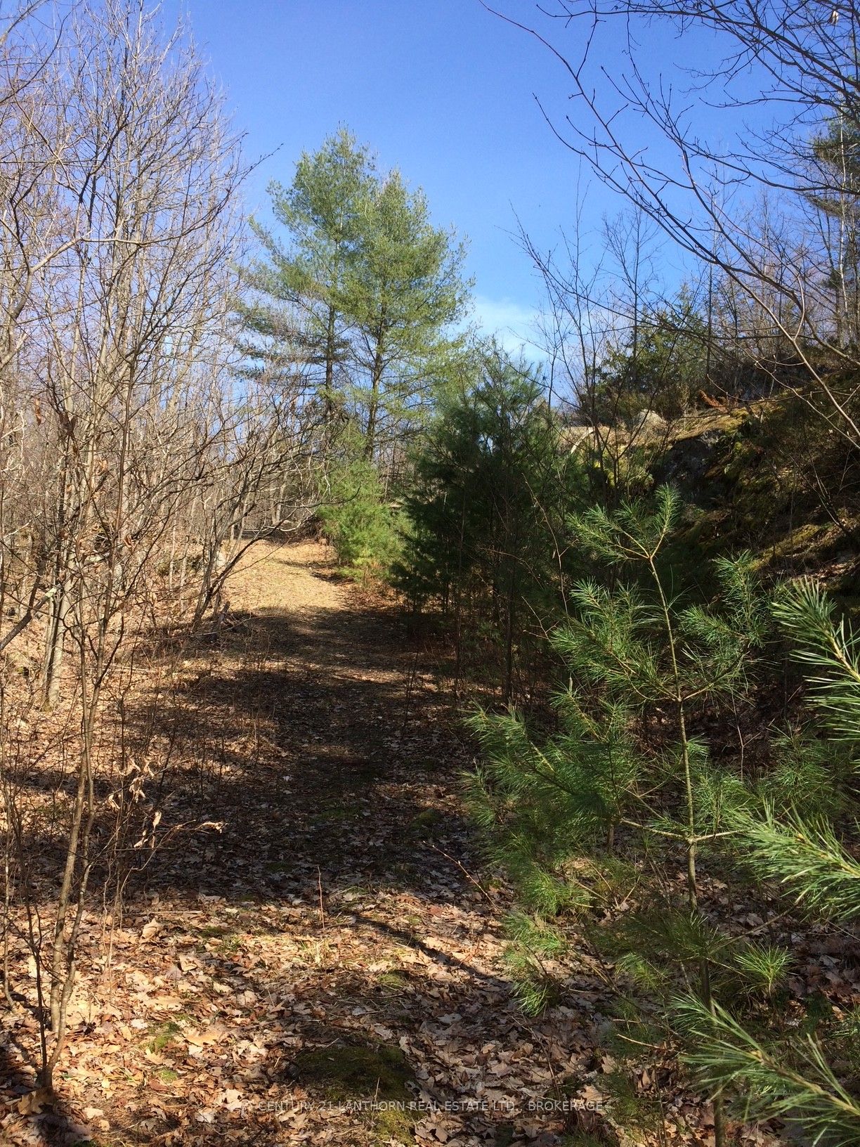 1085 Old Mine Road Property Photo 18