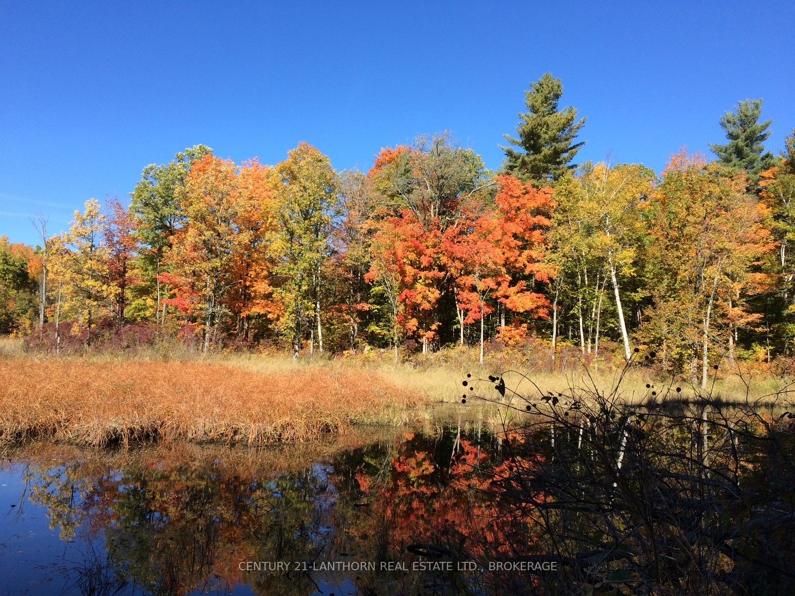 1085 Old Mine Road Property Photo 19