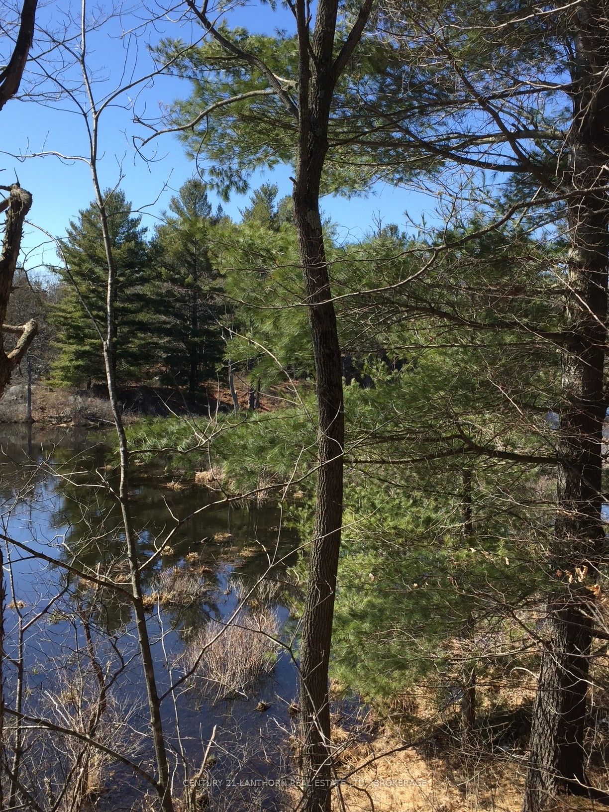 1085 Old Mine Road Property Photo 20