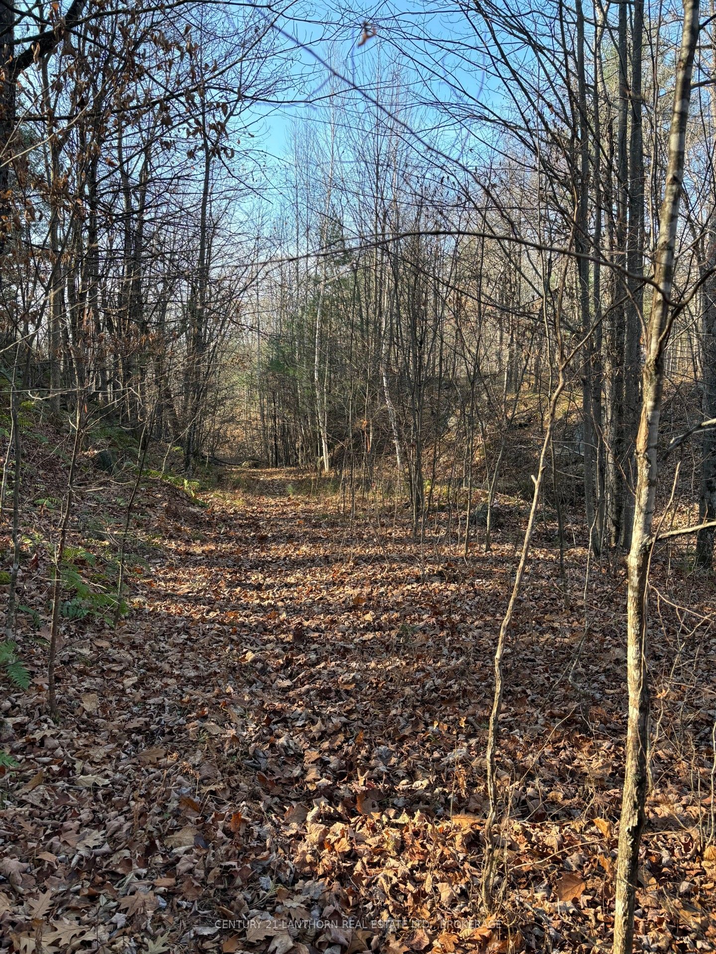 1085 Old Mine Road Property Photo 21