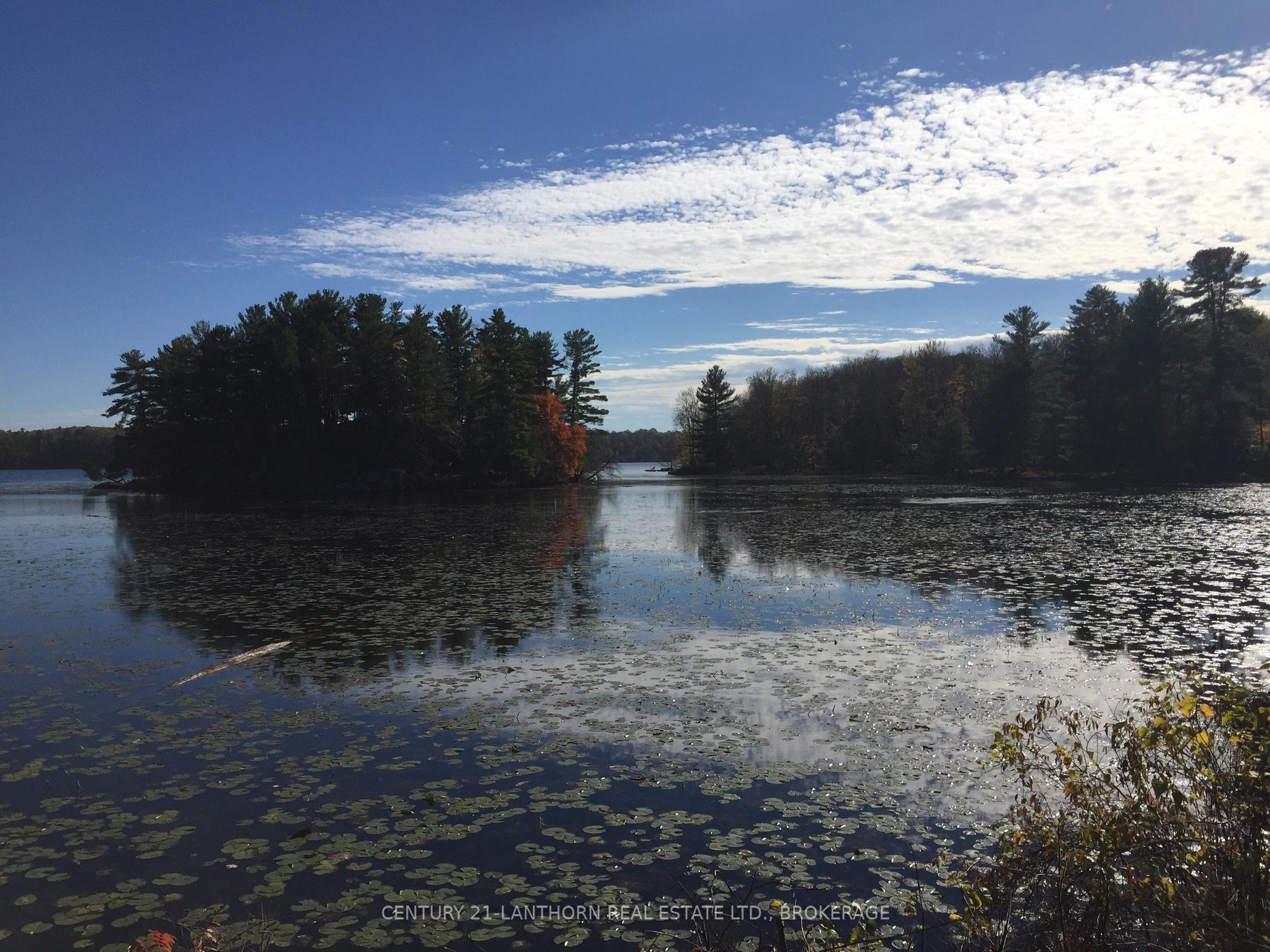 1085 Old Mine Road Property Photo 22