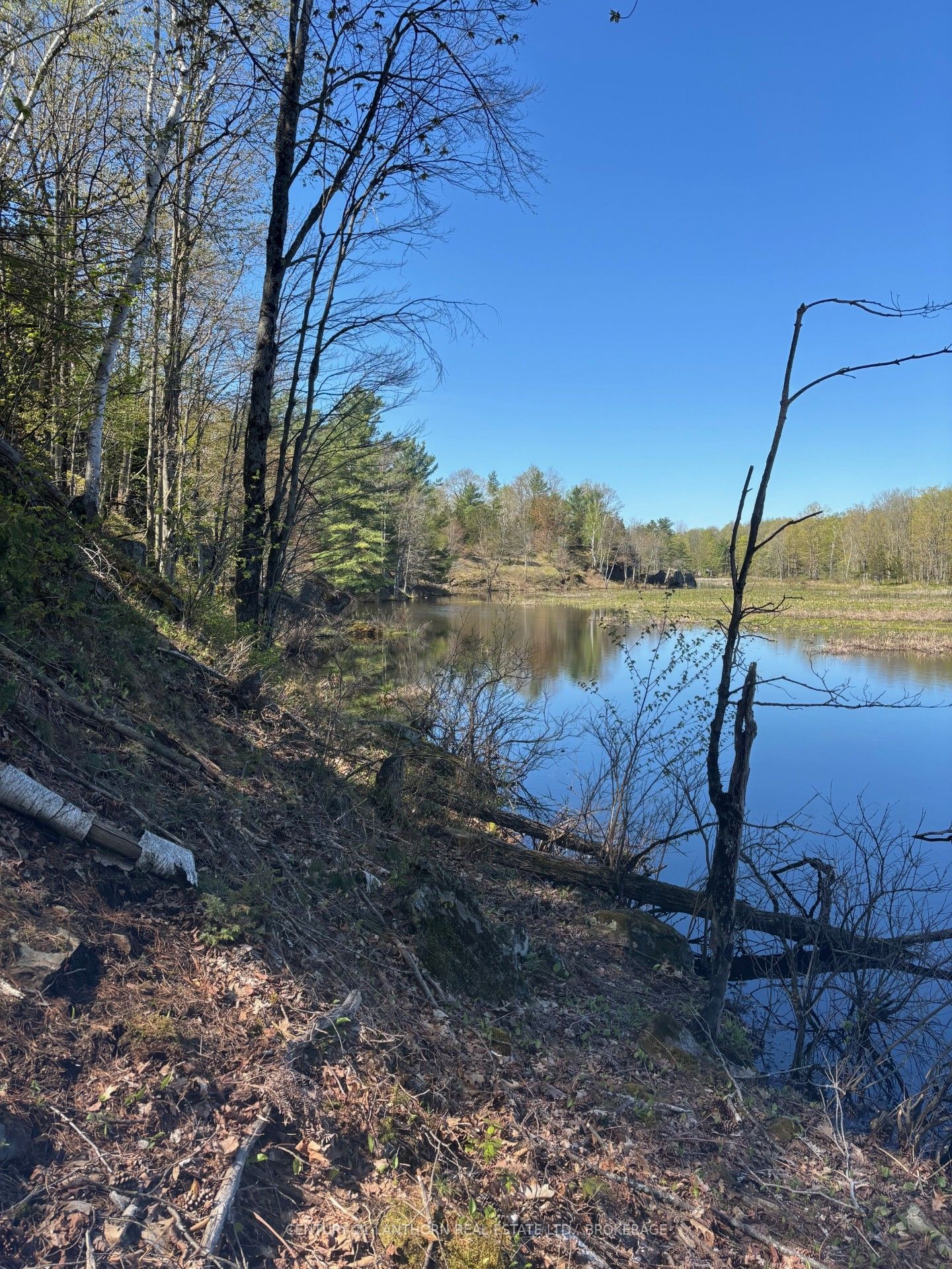1085 Old Mine Road Property Photo 23