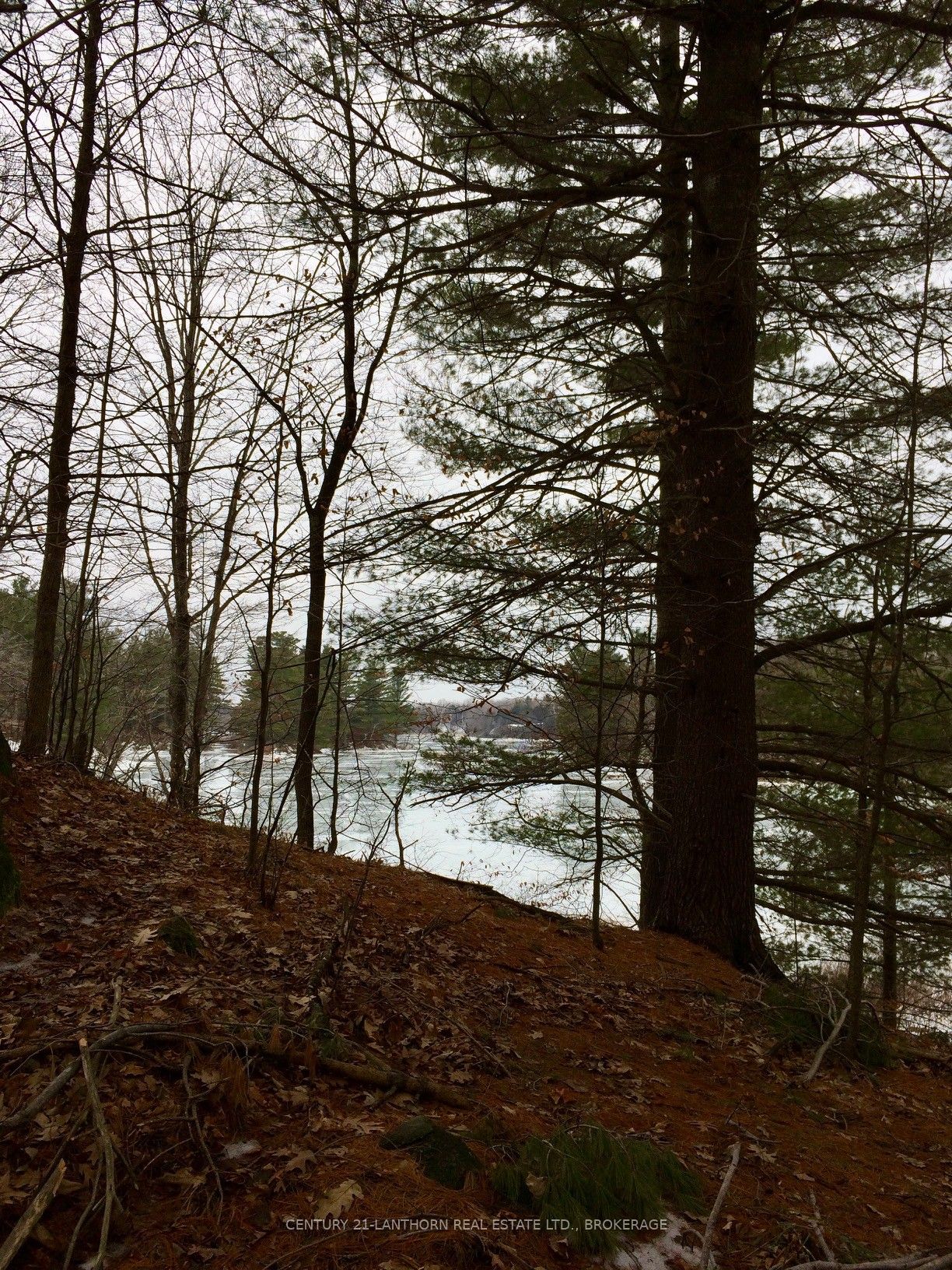 1085 Old Mine Road Property Photo 24