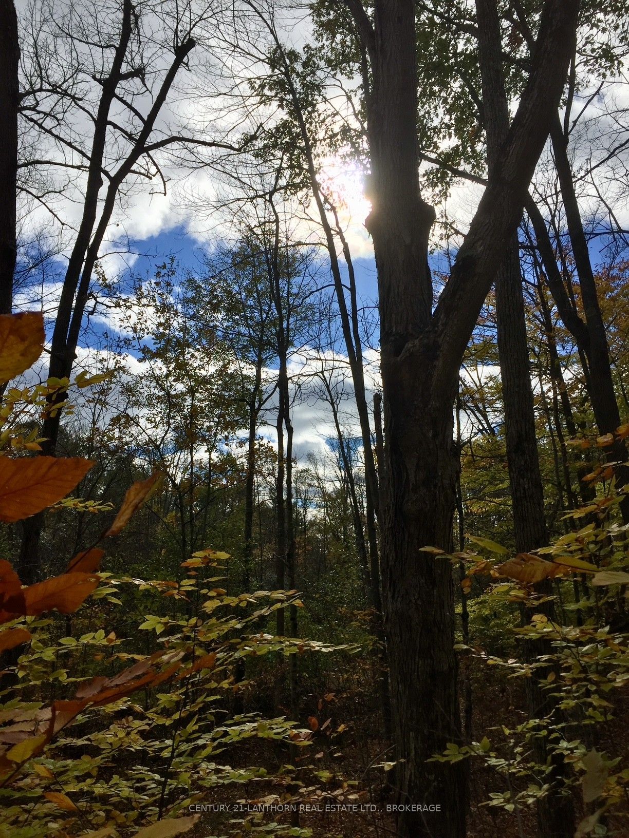 1085 Old Mine Road Property Photo 25
