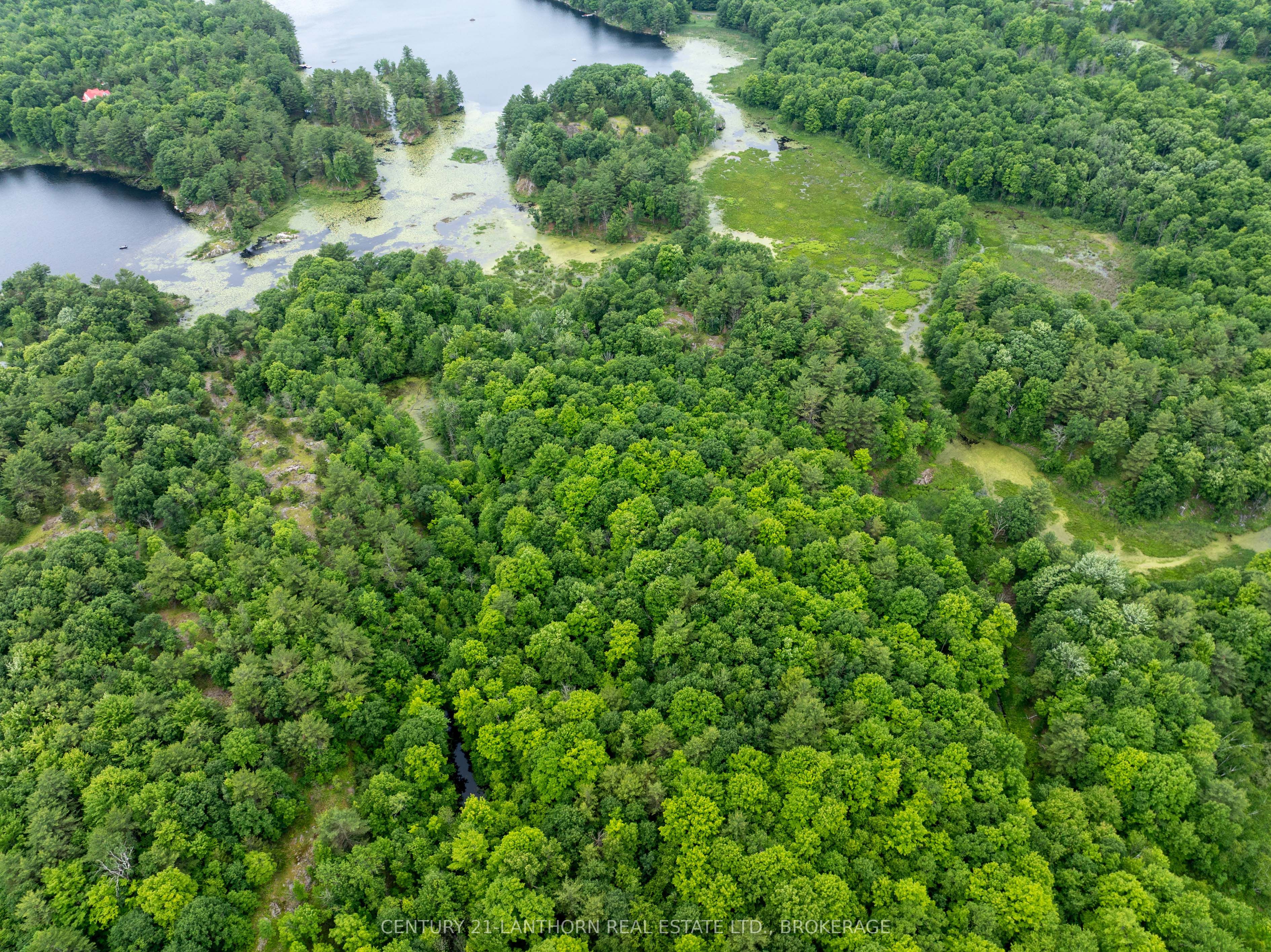 1085 Old Mine Road Property Photo 30