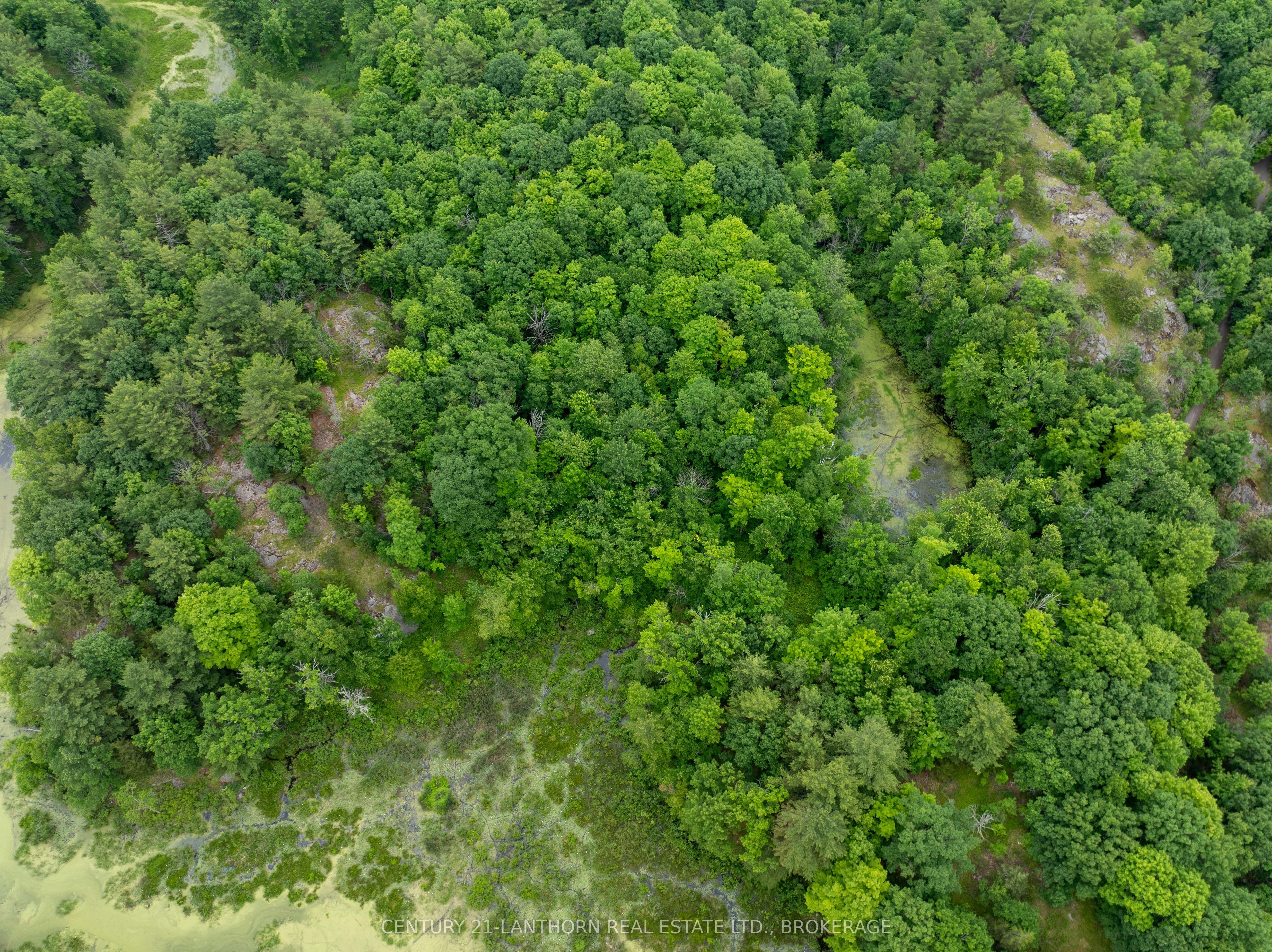 1085 Old Mine Road Property Photo 32