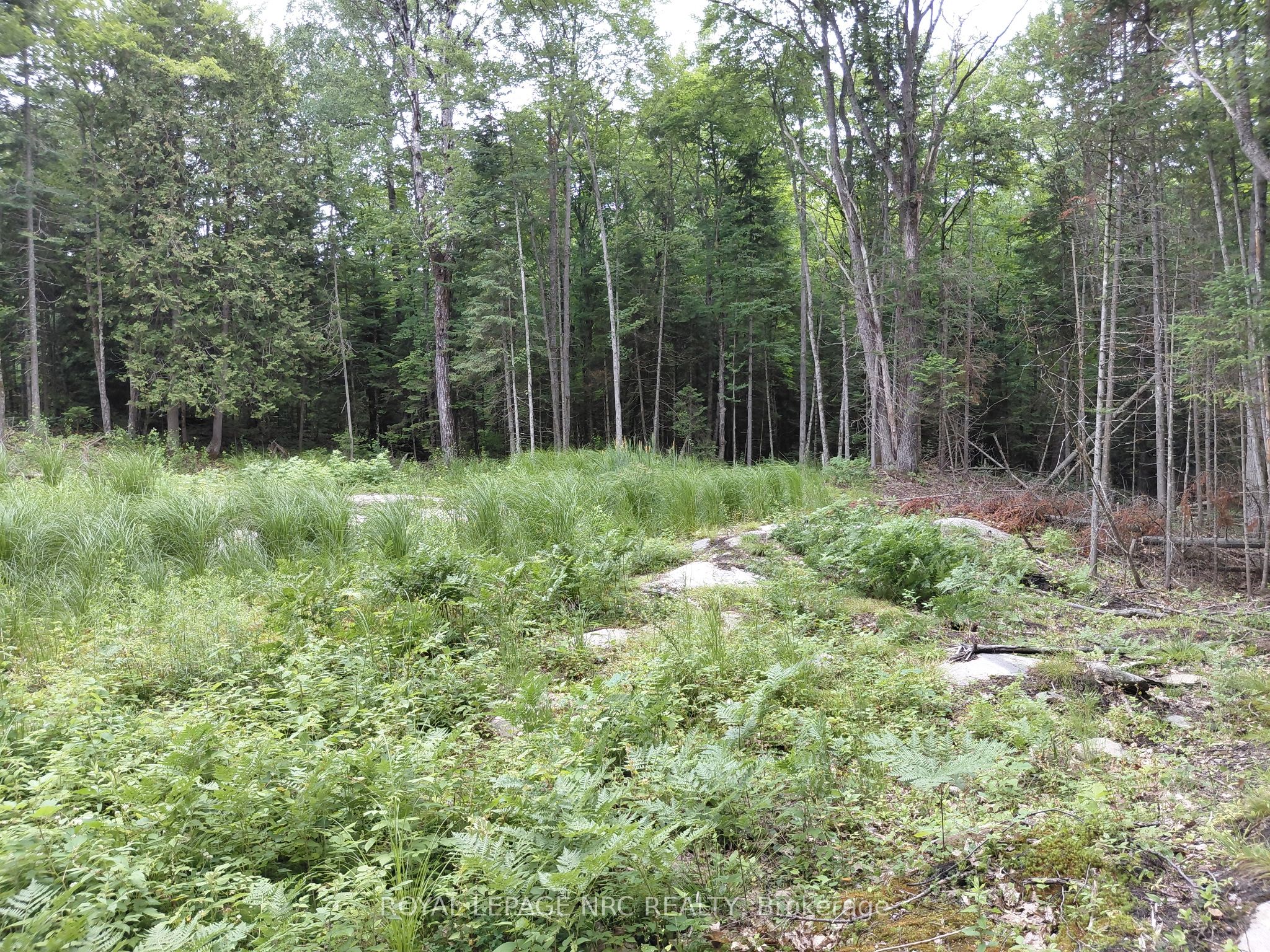 V/l Thomas Bolton Road Property Photo 3
