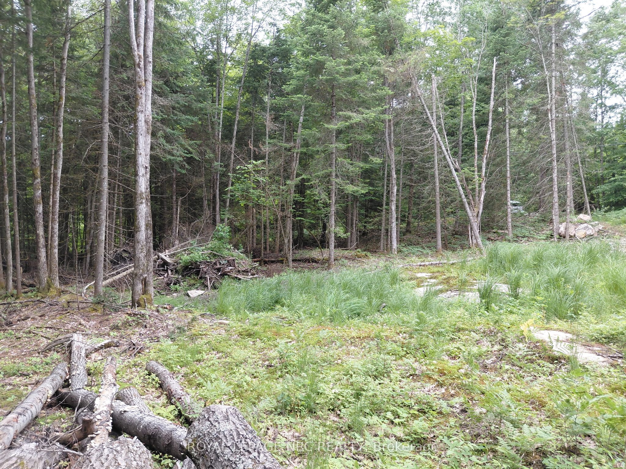 V/l Thomas Bolton Road Property Photo 4
