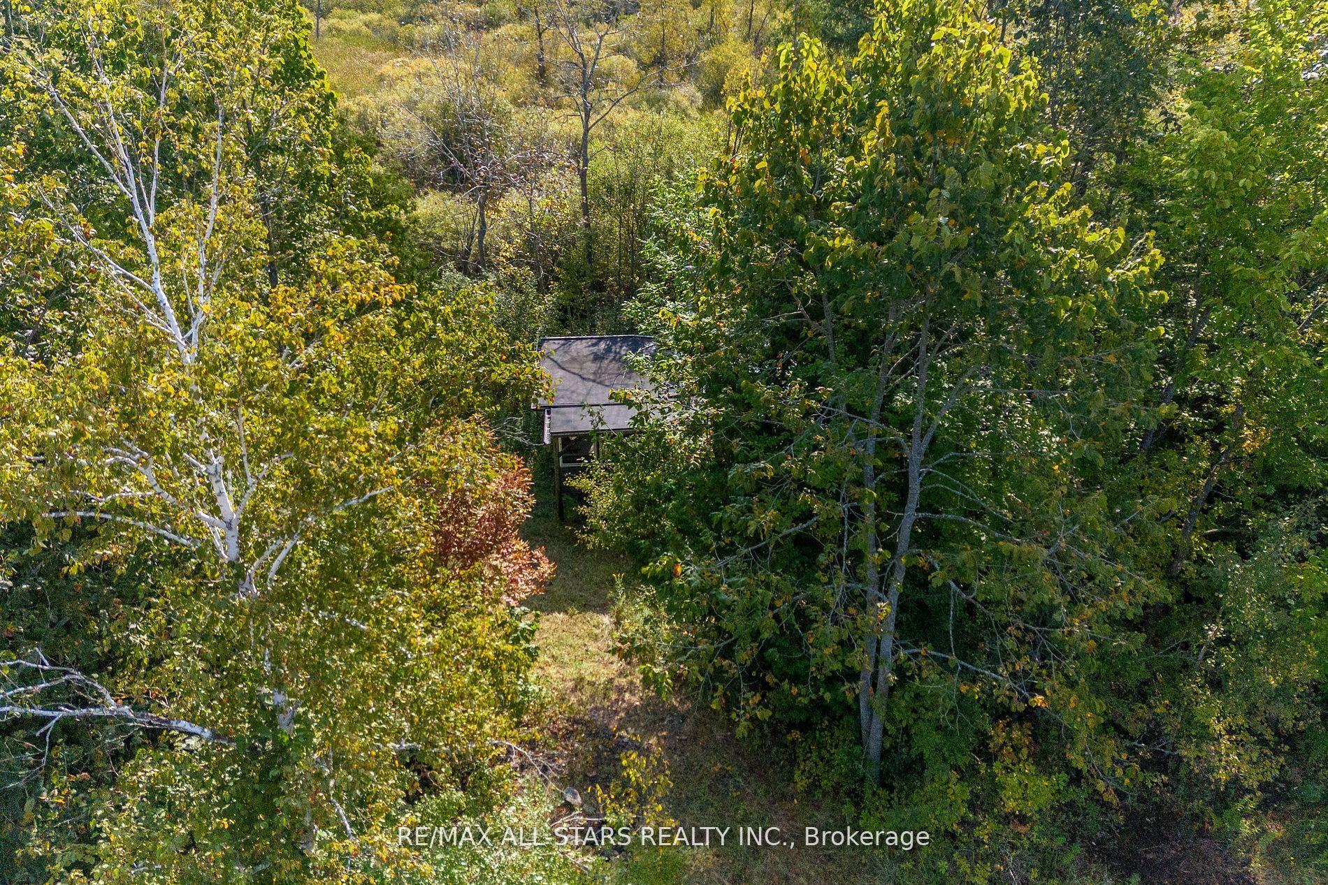 4 Point Rd Property Photo 18