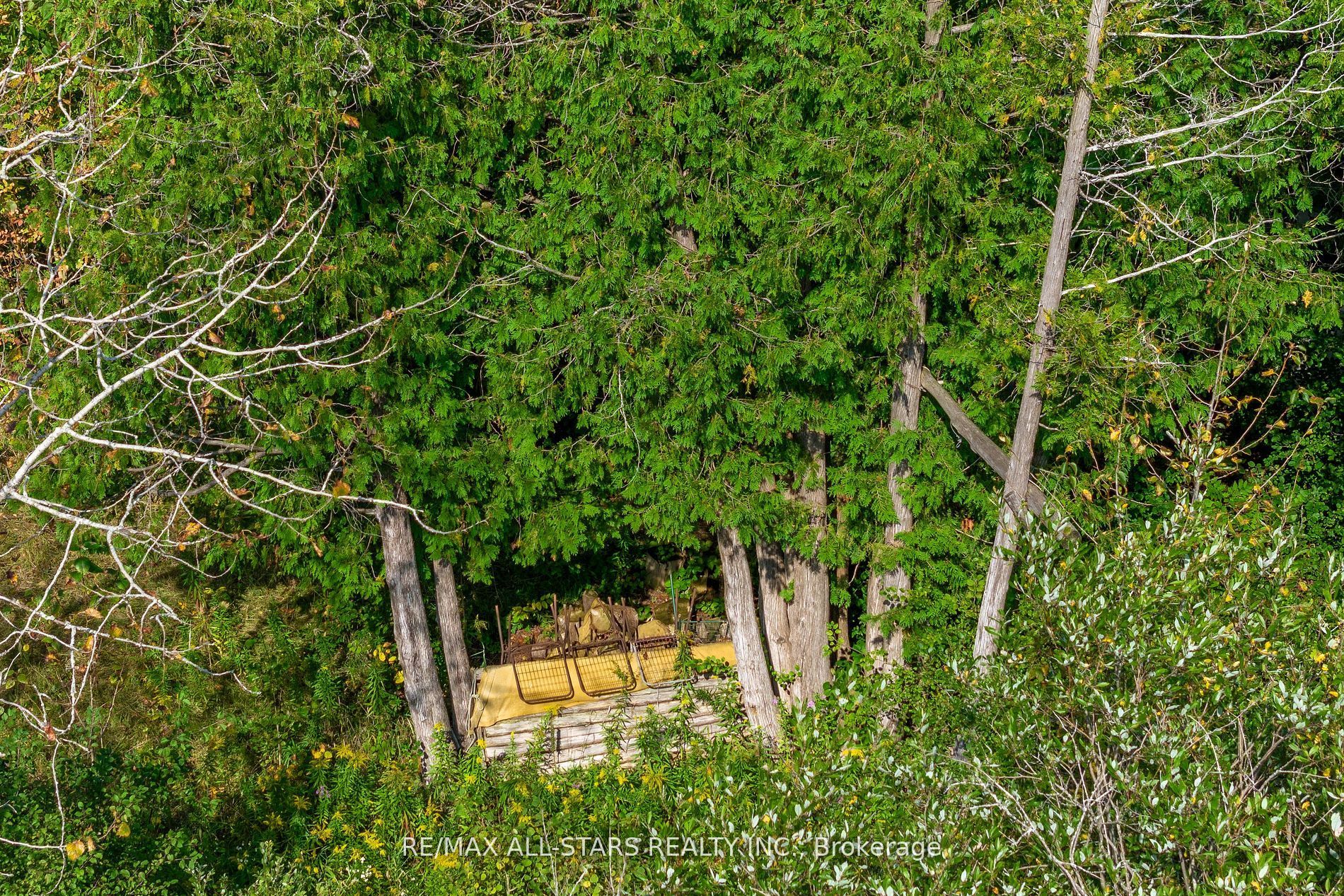 4 Point Rd Property Photo 22
