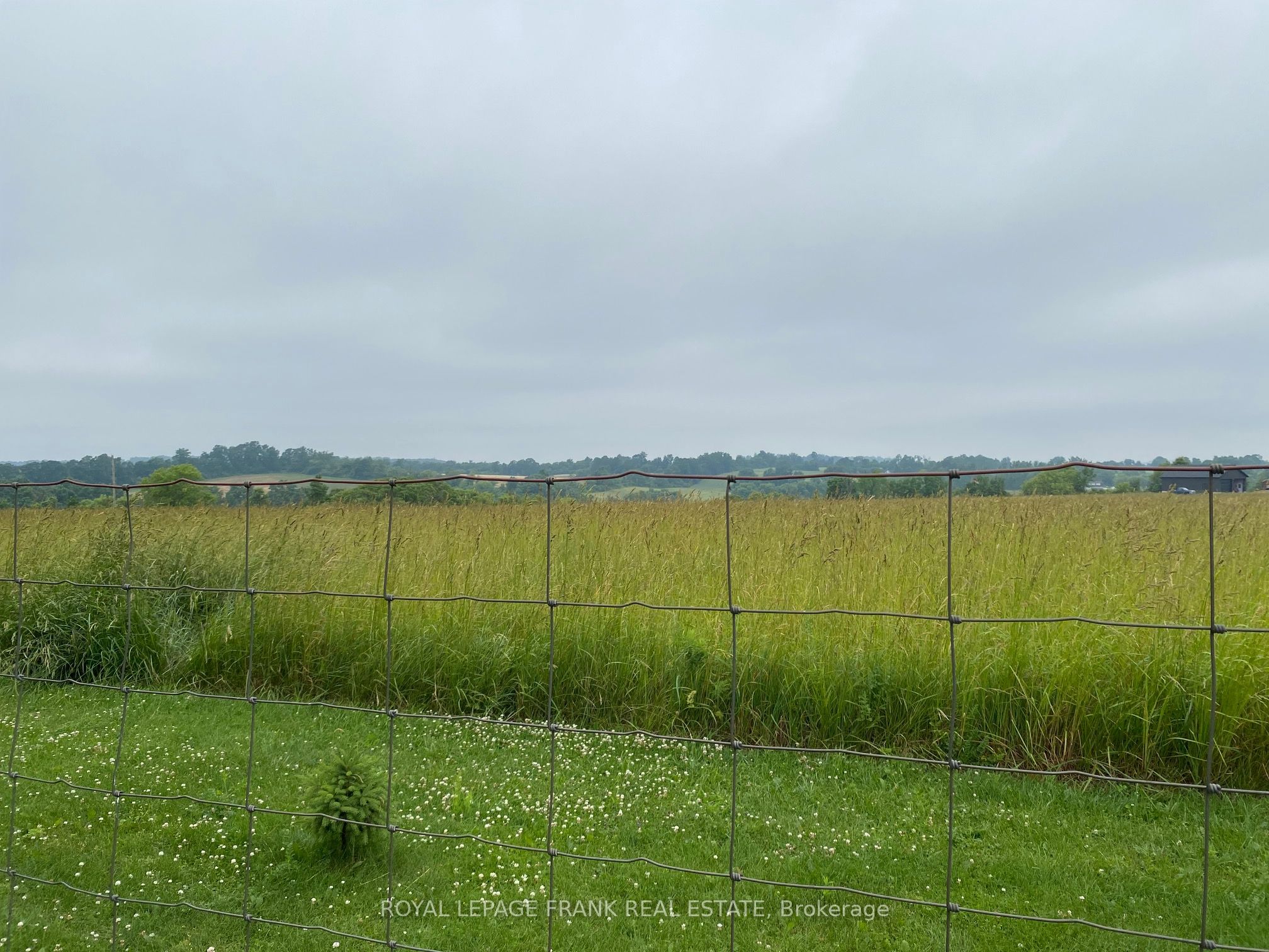 13642 Telephone Road Property Photo 35