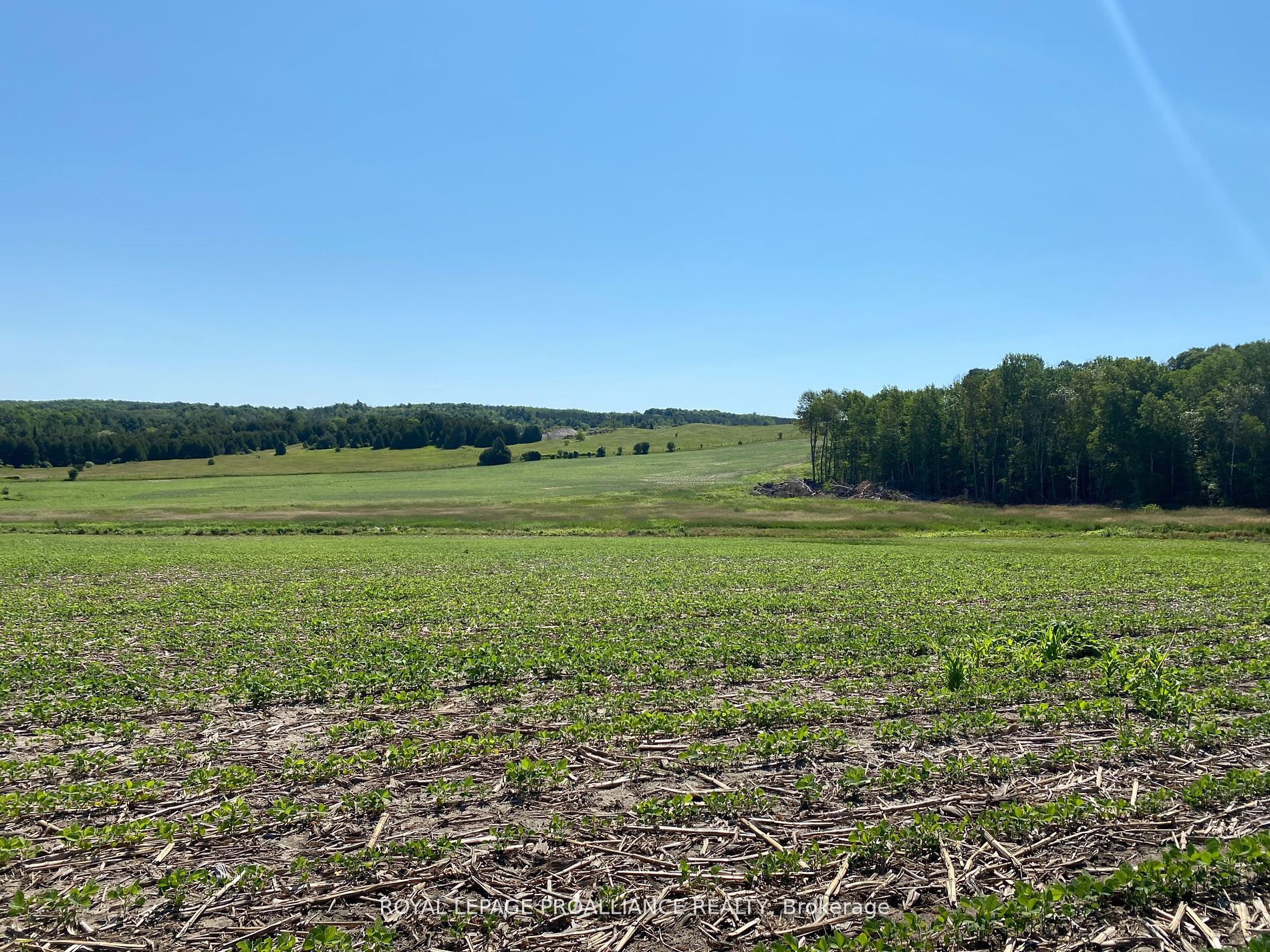 Pt Lt 3 County Rd 45 Property Photo 16