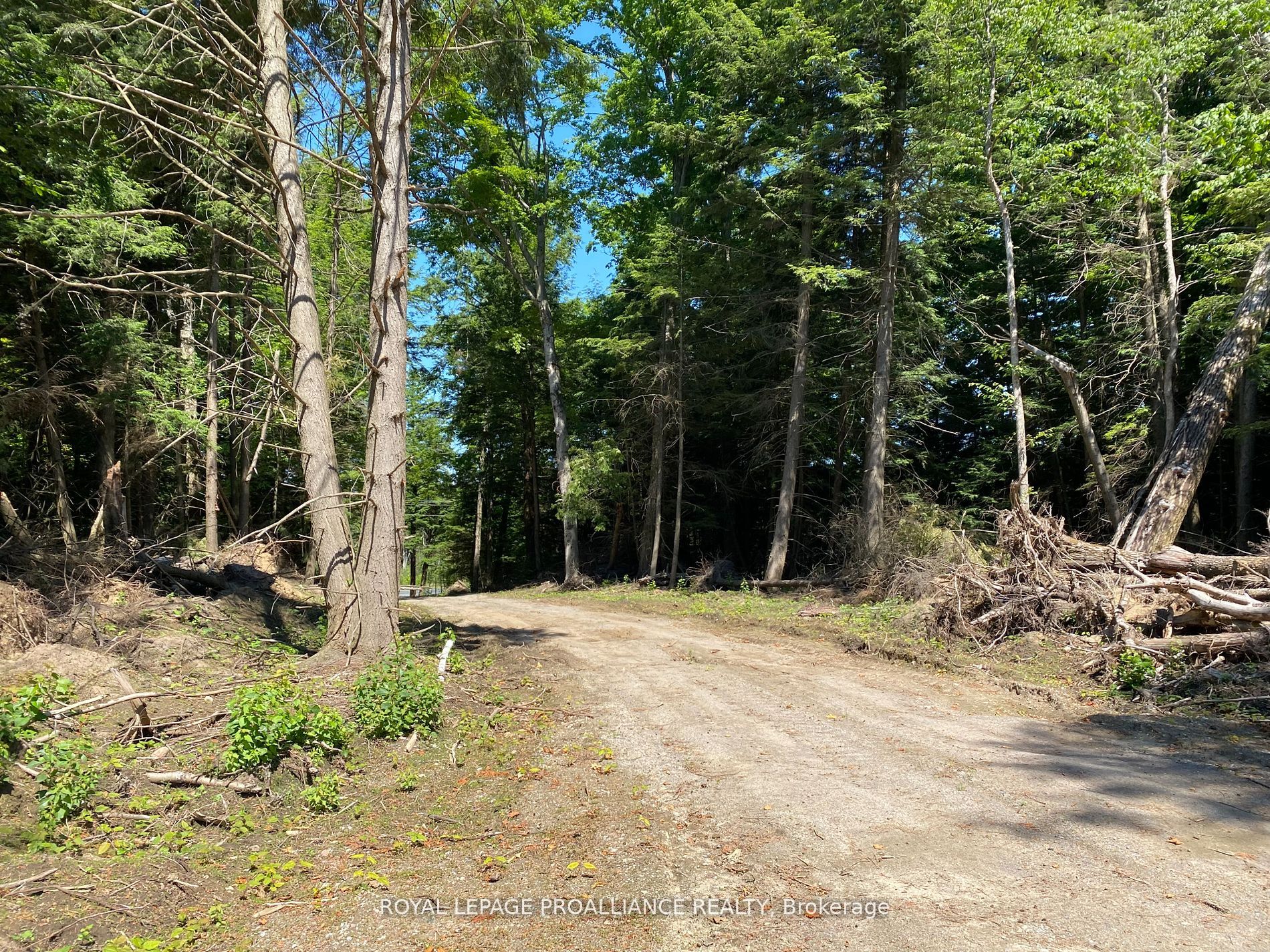 Pt Lt 3 County Rd 45 Property Photo 36