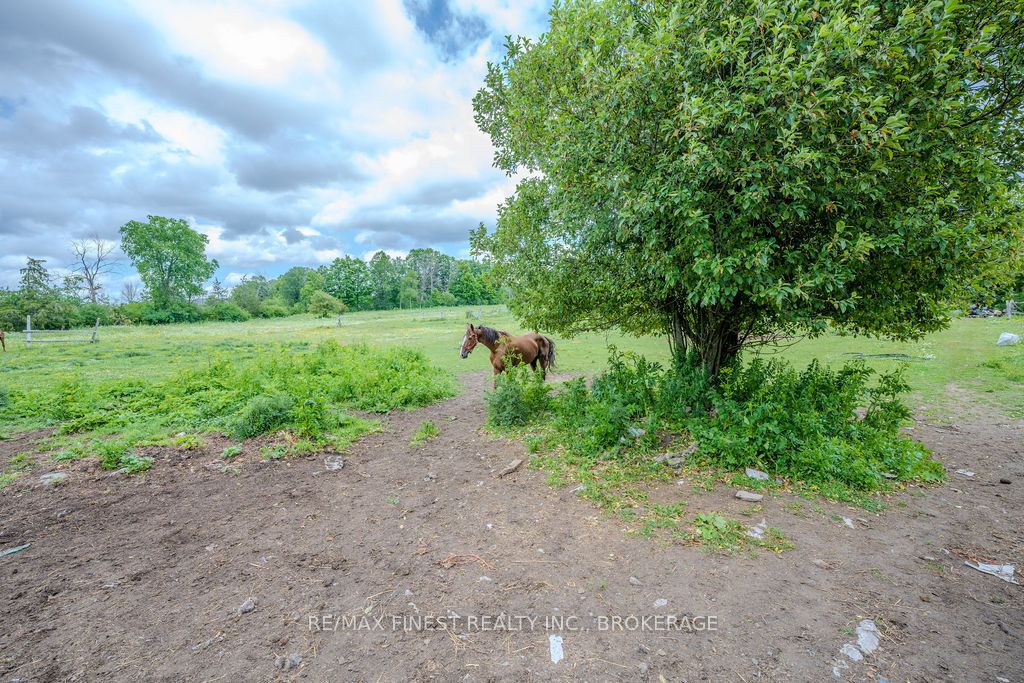 142 Cooks Road Property Photo 9