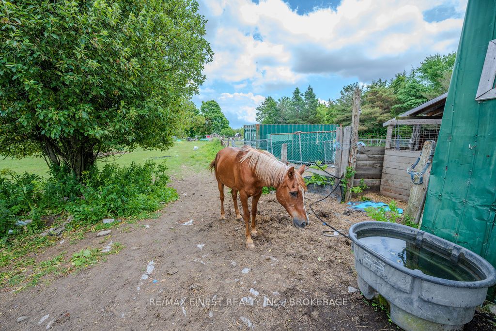 142 Cooks Road Property Photo 48