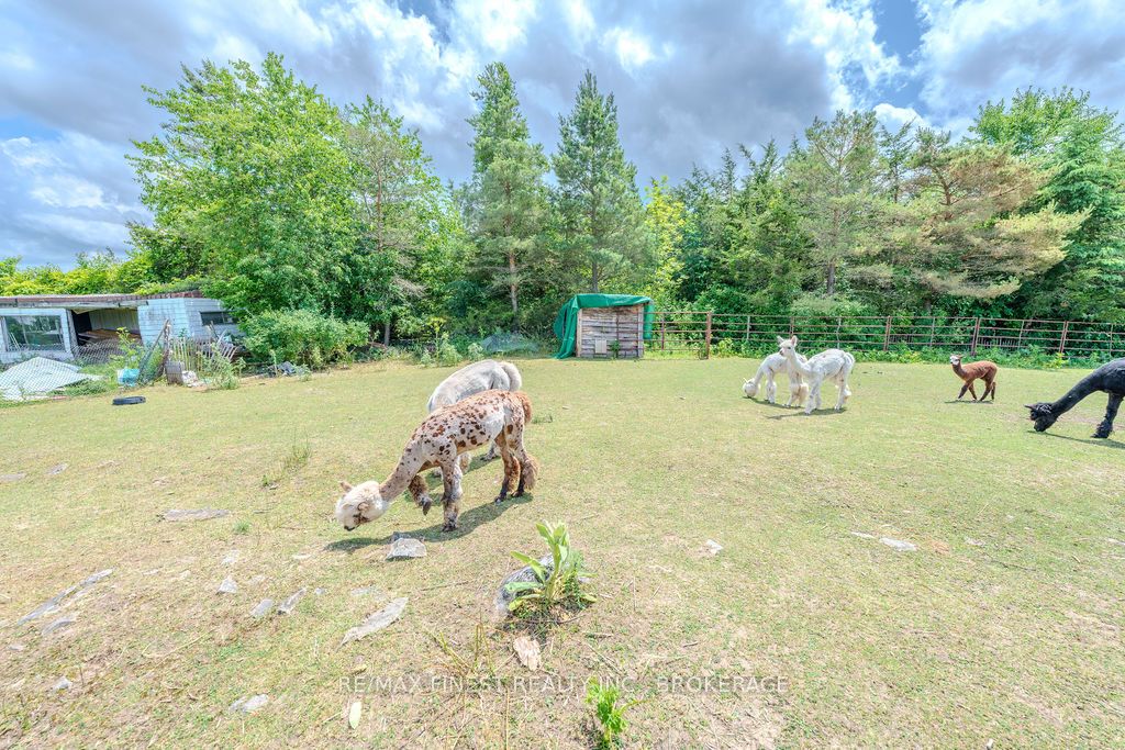 142 Cooks Road Property Photo 49