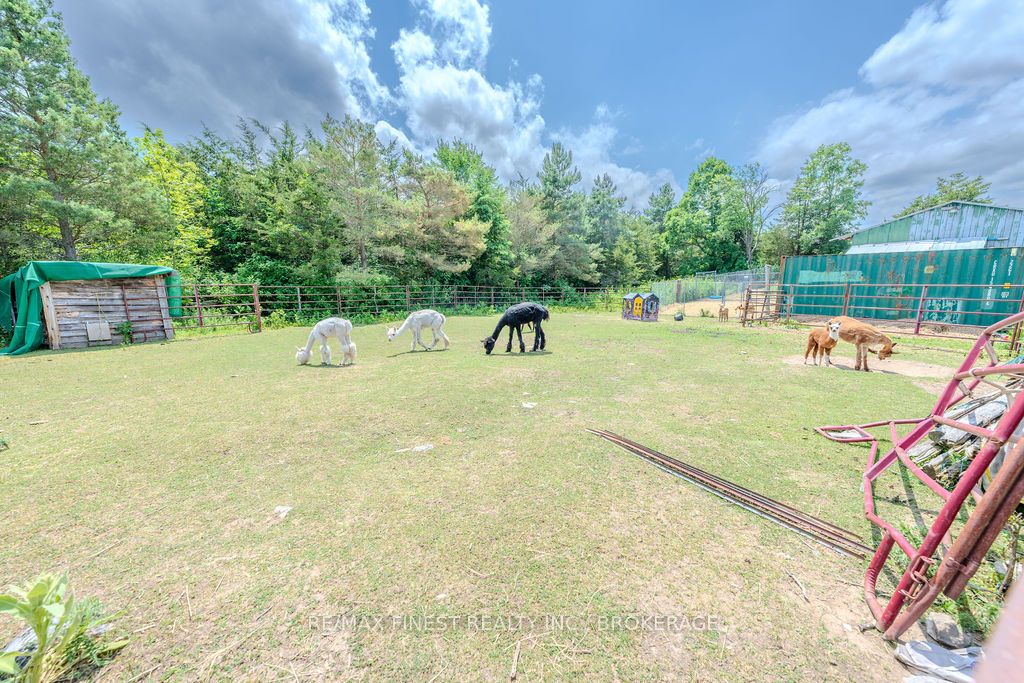 142 Cooks Road Property Photo 50