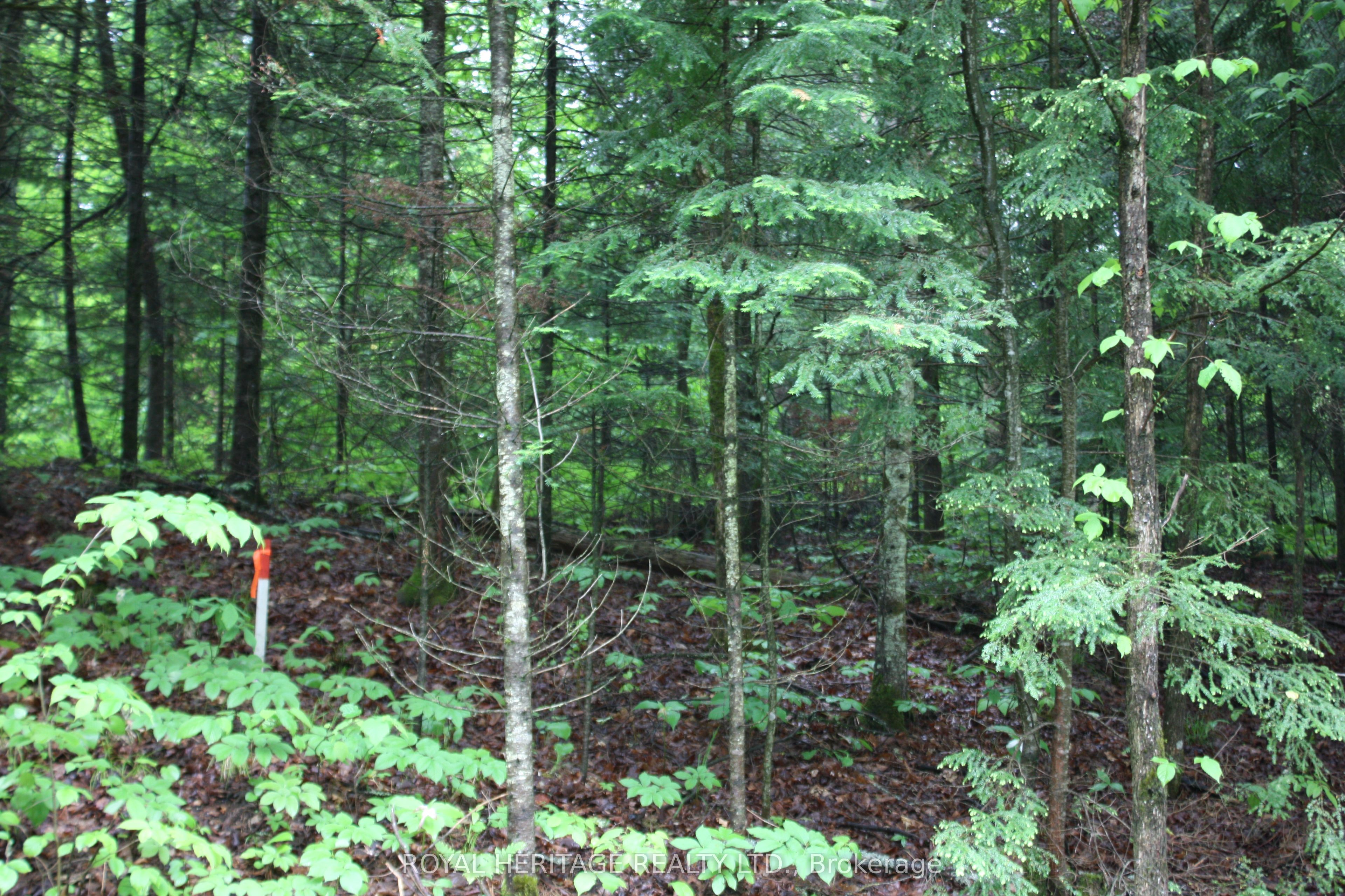 0 Quarry Road Property Photo 1