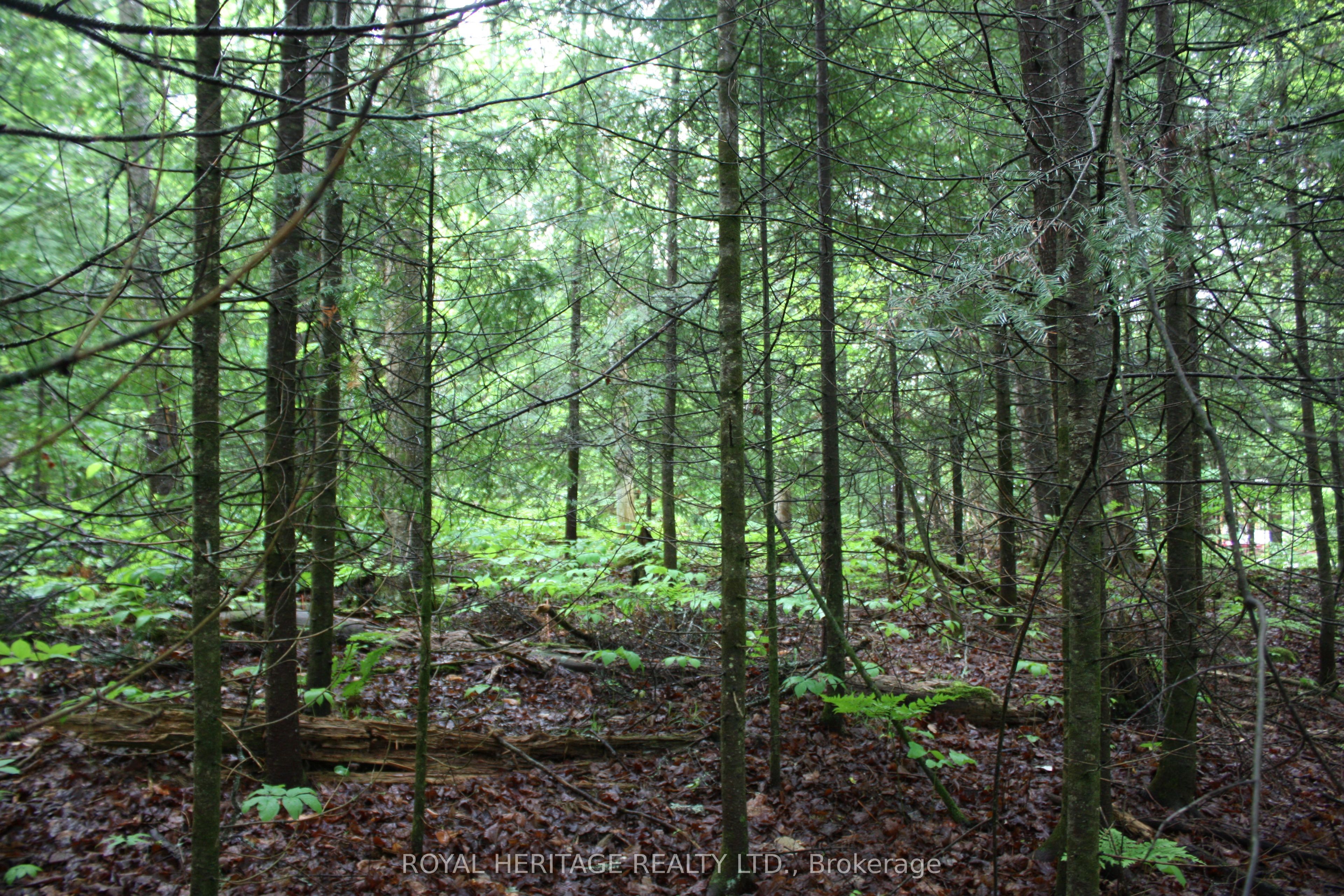0 Quarry Road Property Photo 2