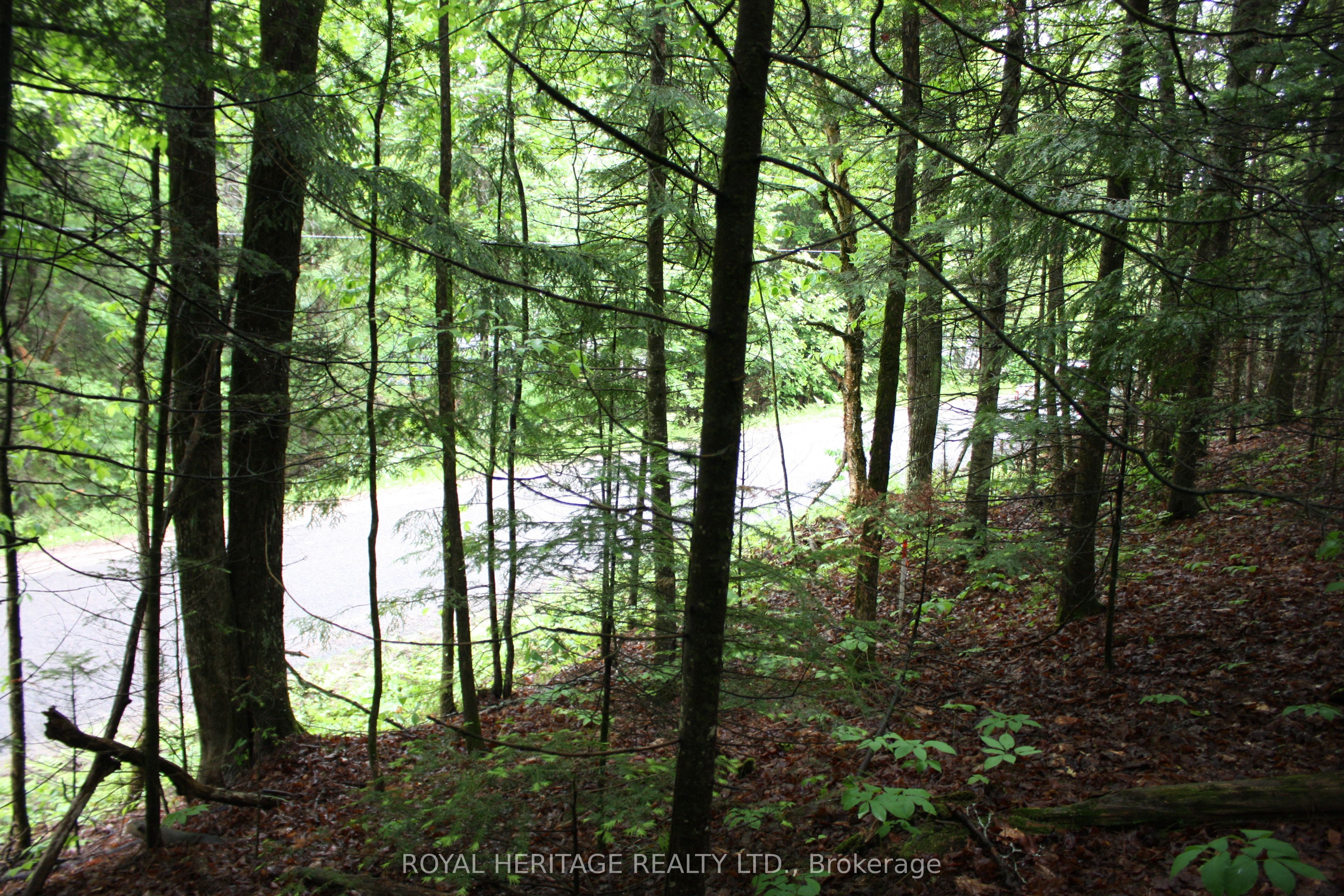 0 Quarry Road Property Photo 5