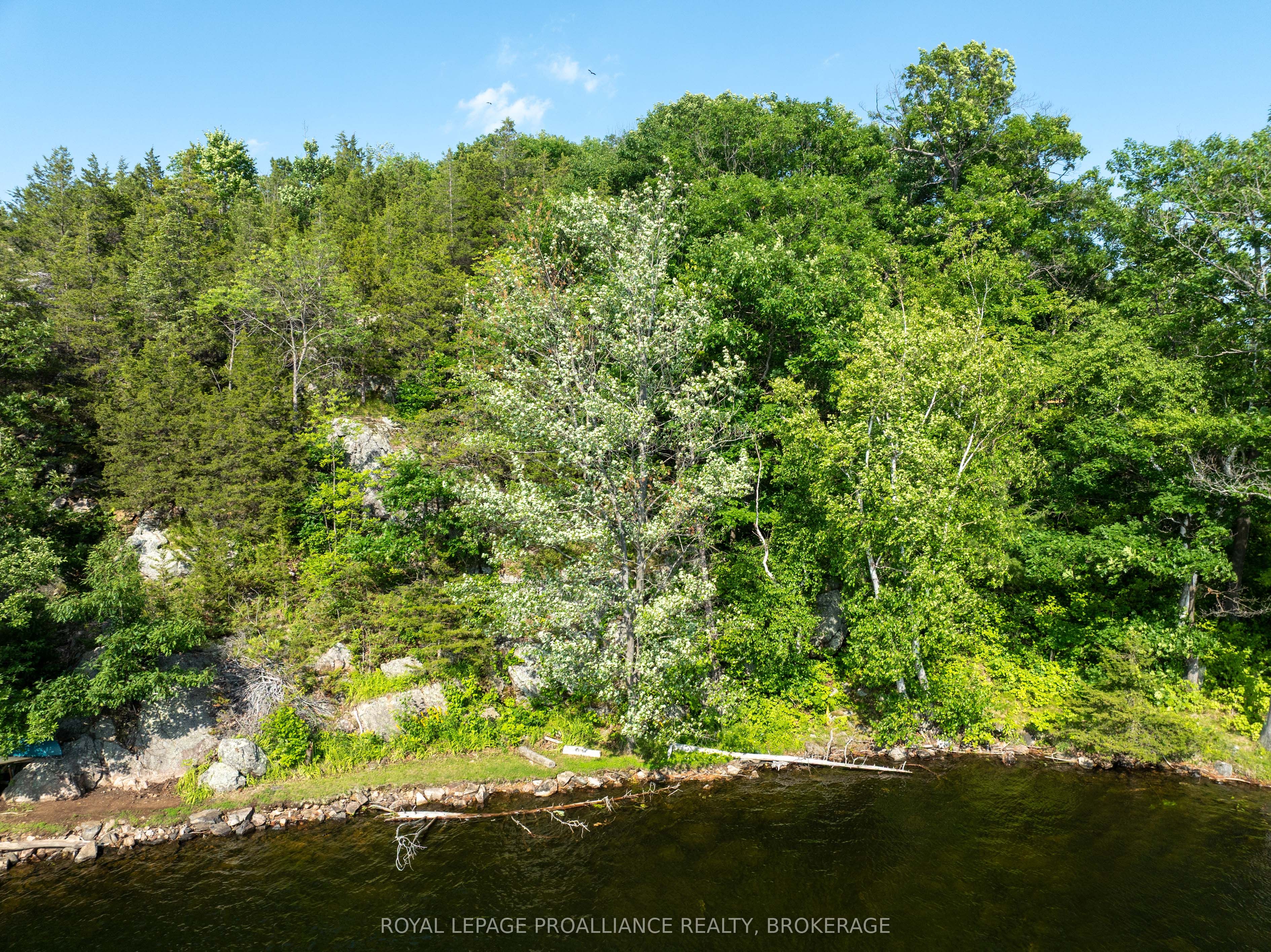 Pt Lt 25 Bobs Lake Property Photo 9