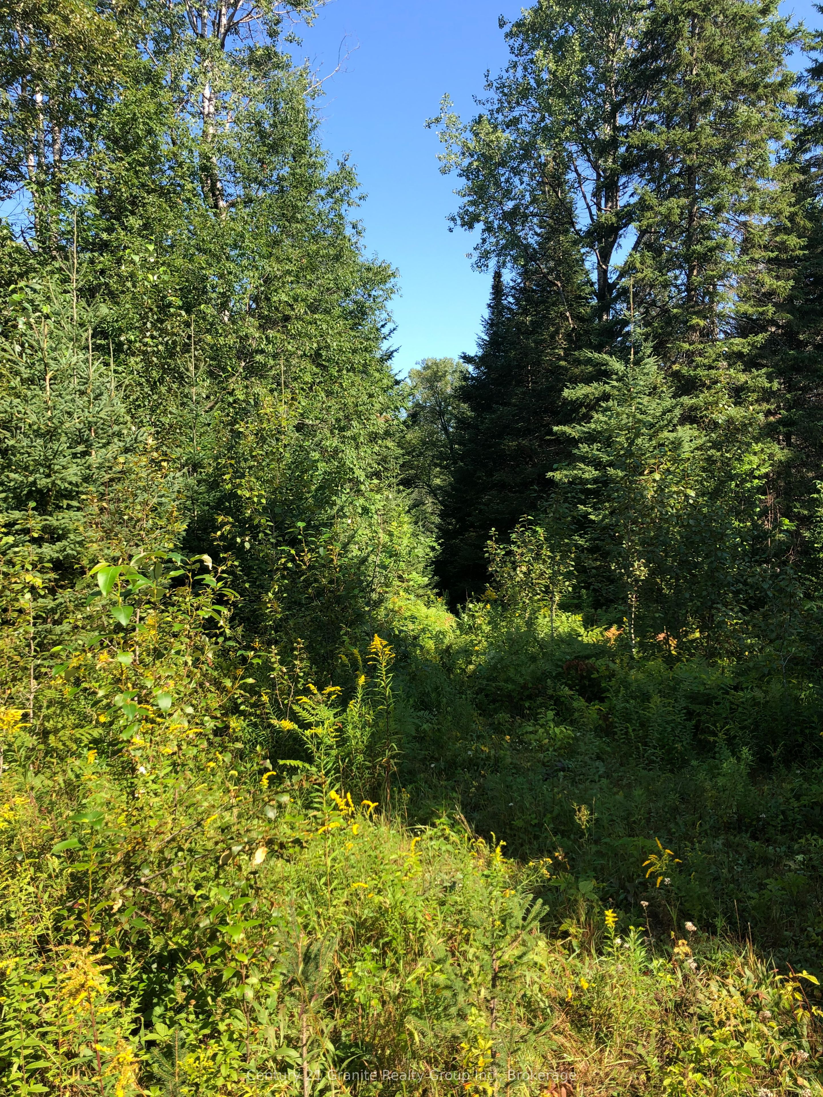 Lot 6-10 Moon Road Property Photo 4