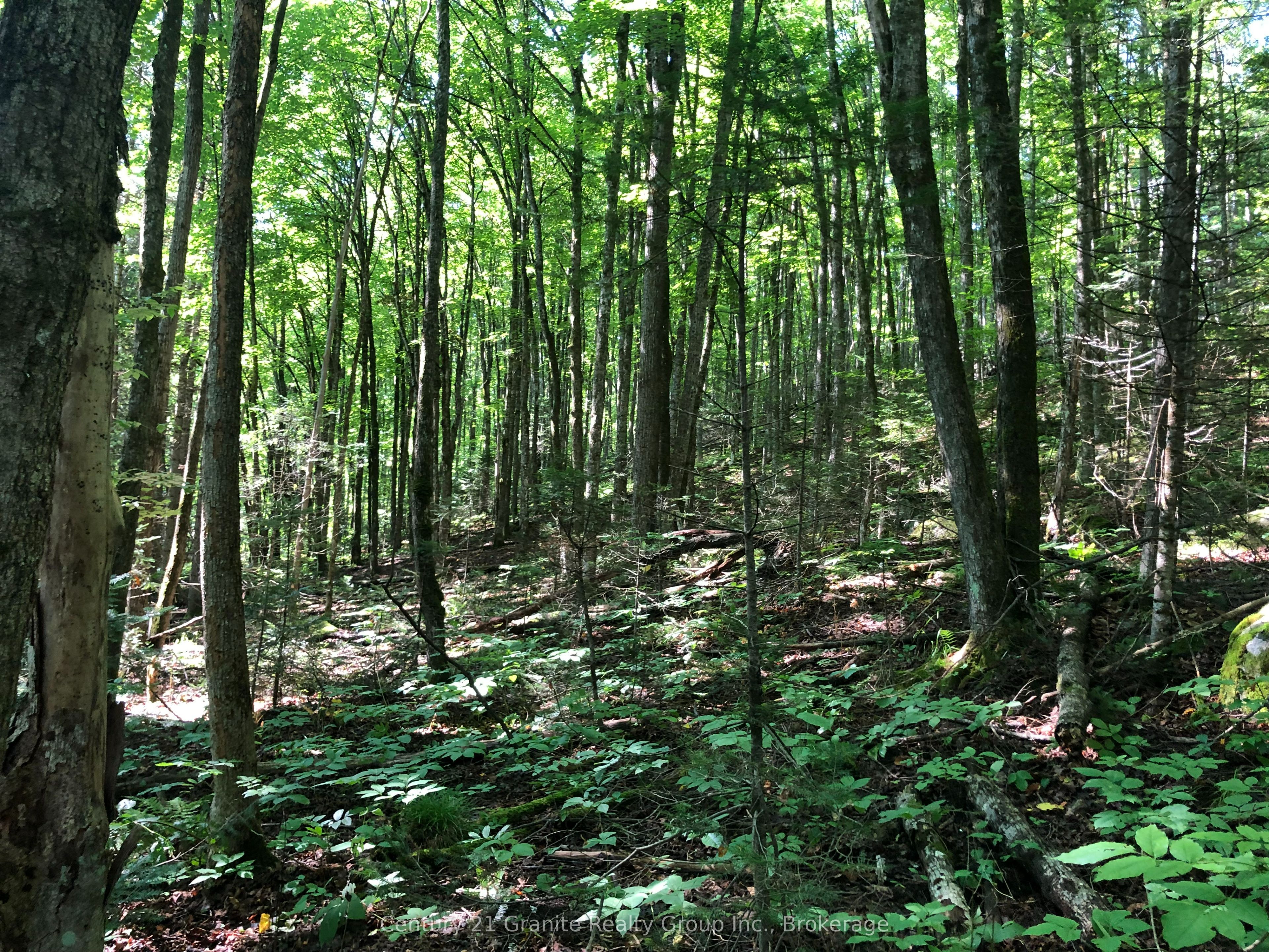 Lot 6-10 Moon Road Property Photo 8