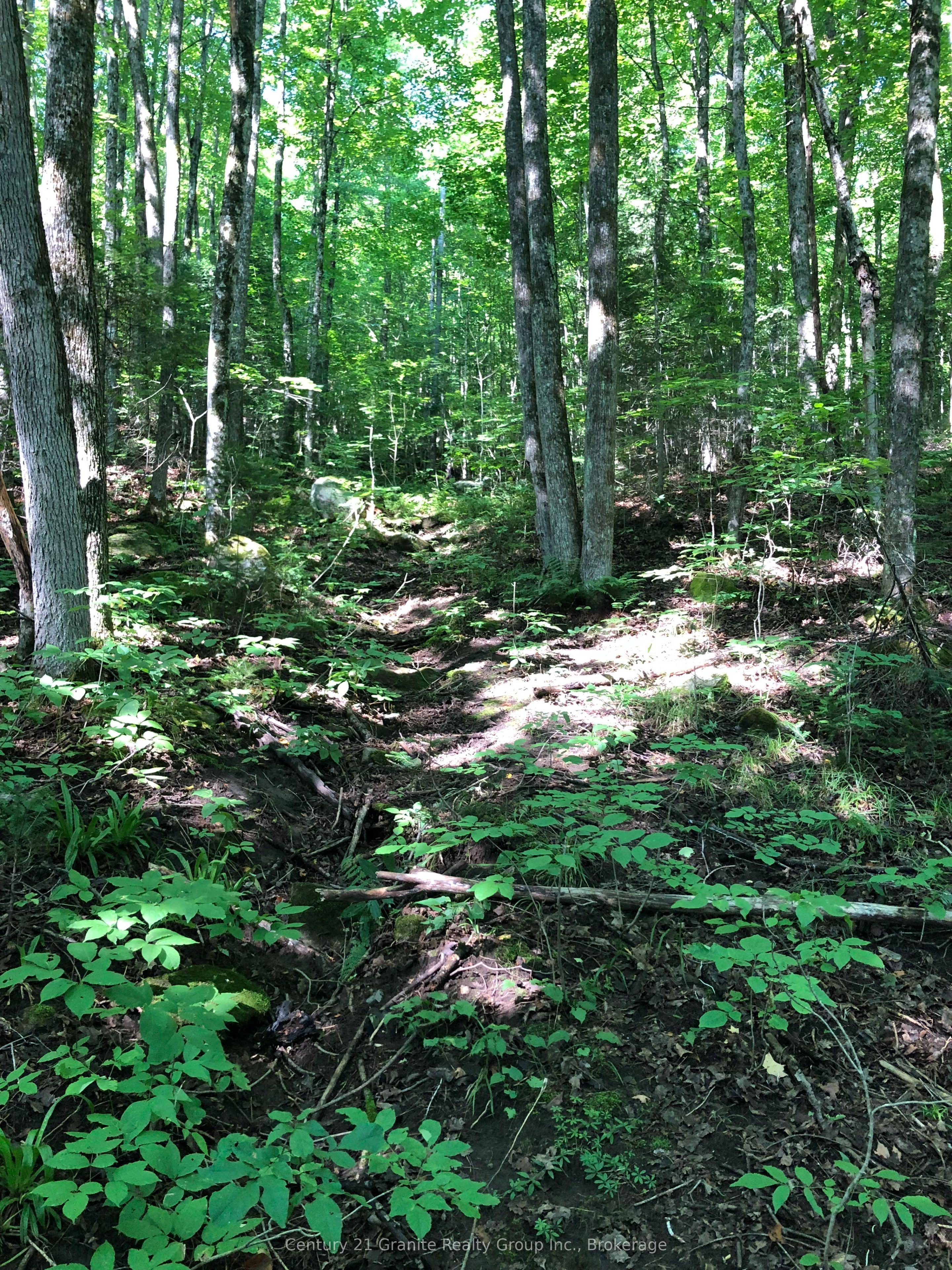 Lot 6-10 Moon Road Property Photo 9