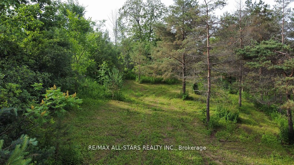 283 Bland Line Property Photo 2