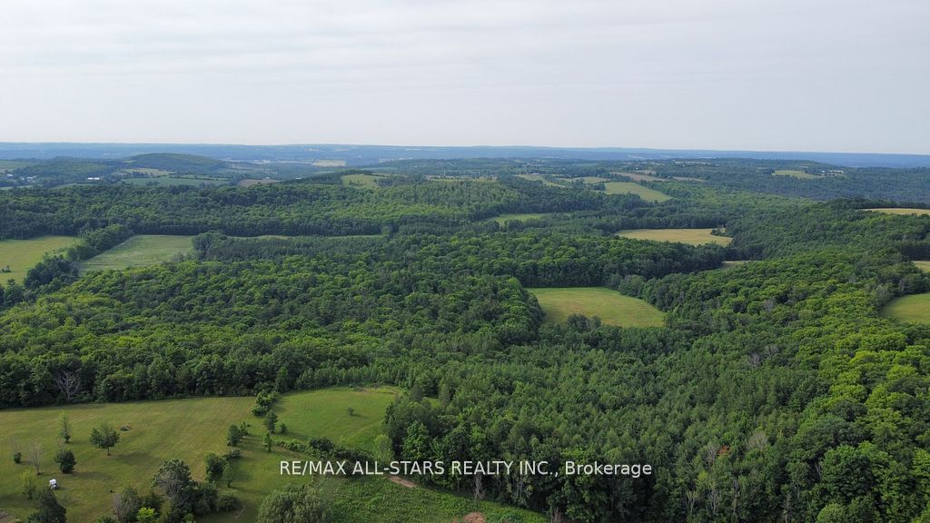 283 Bland Line Property Photo 7