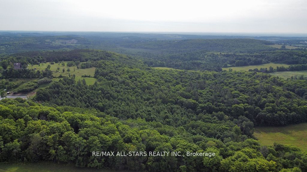 283 Bland Line Property Photo 12