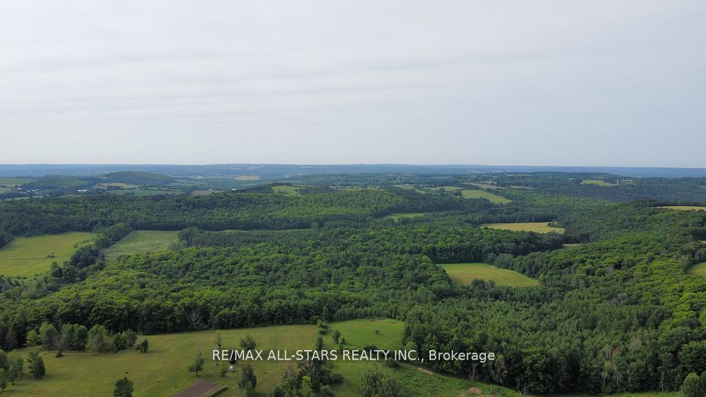 283 Bland Line Property Photo 14