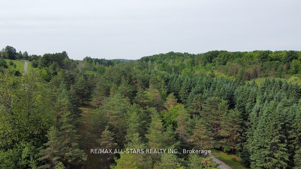 283 Bland Line Property Photo 16