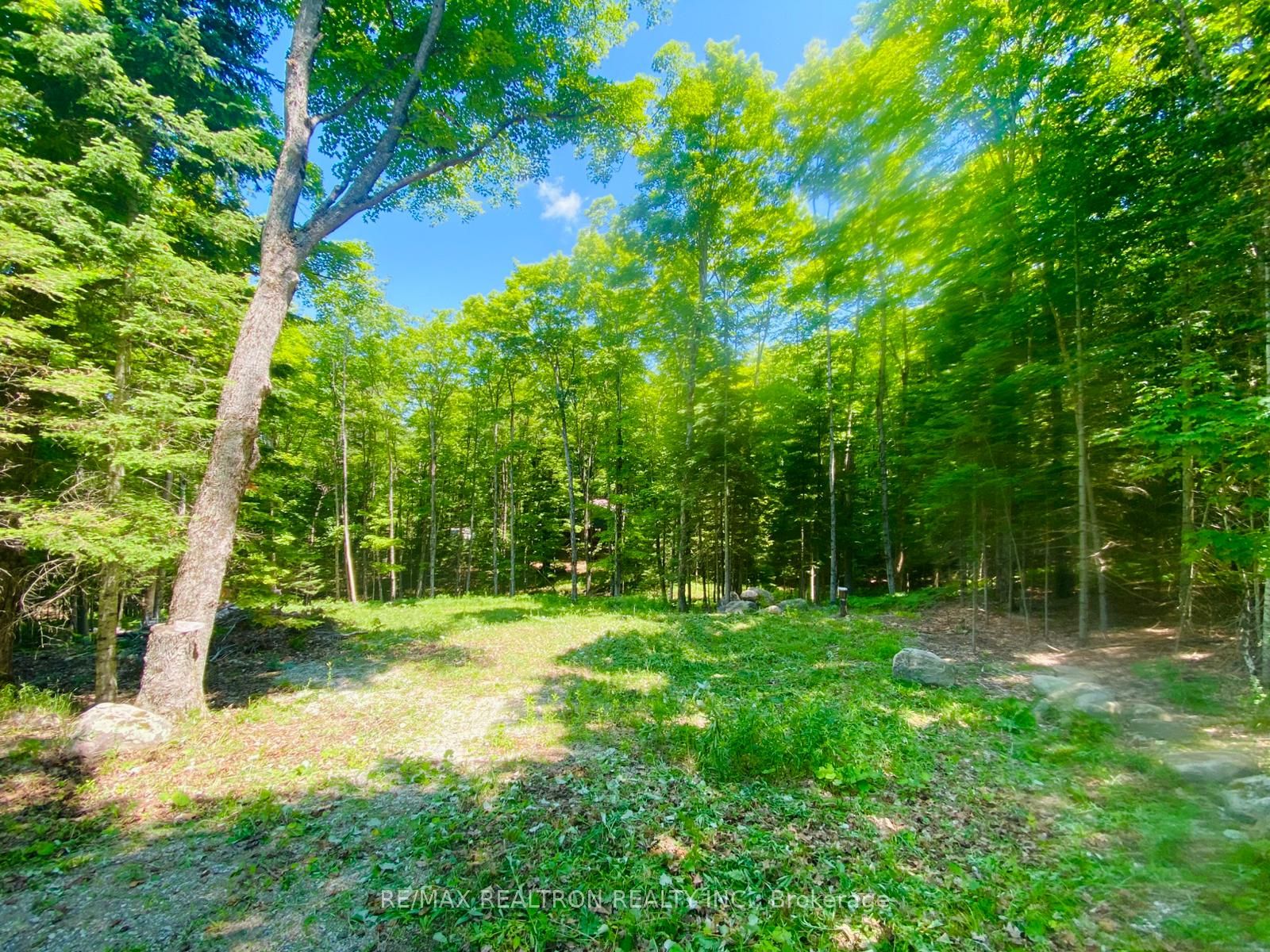 1133 Bushwolf Lake Road Property Photo 10