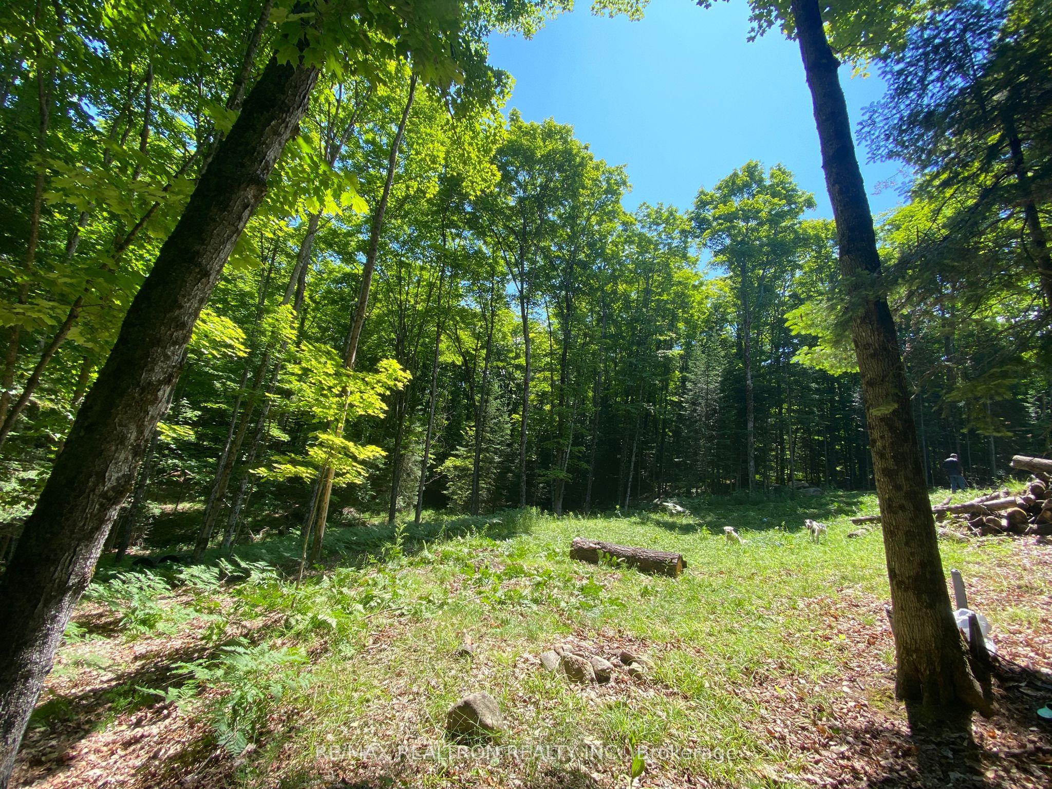 1133 Bushwolf Lake Road Property Photo 11