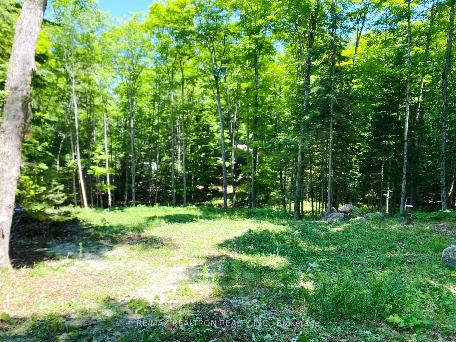 1133 Bushwolf Lake Road Property Photo 12