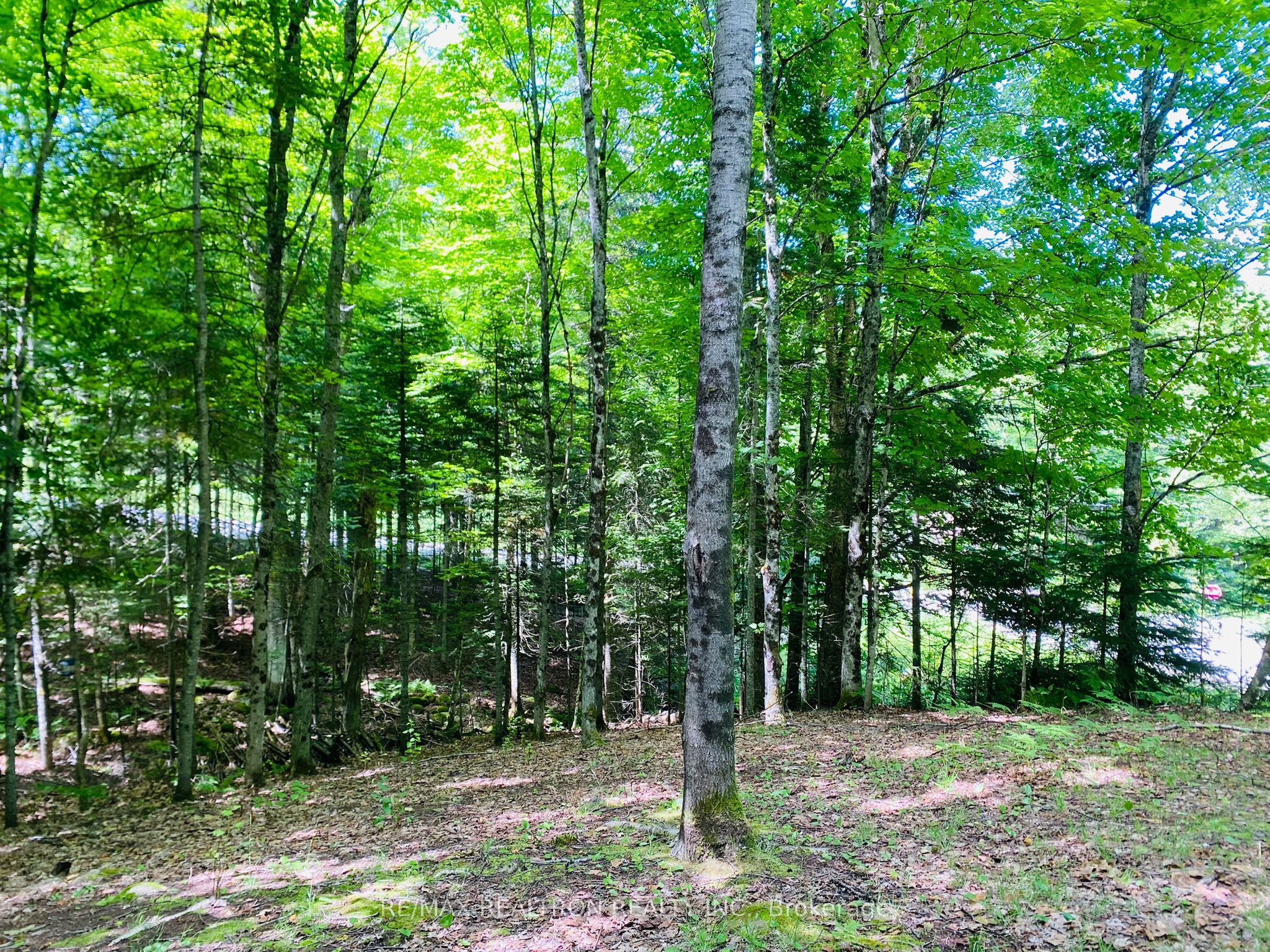 1133 Bushwolf Lake Road Property Photo 13