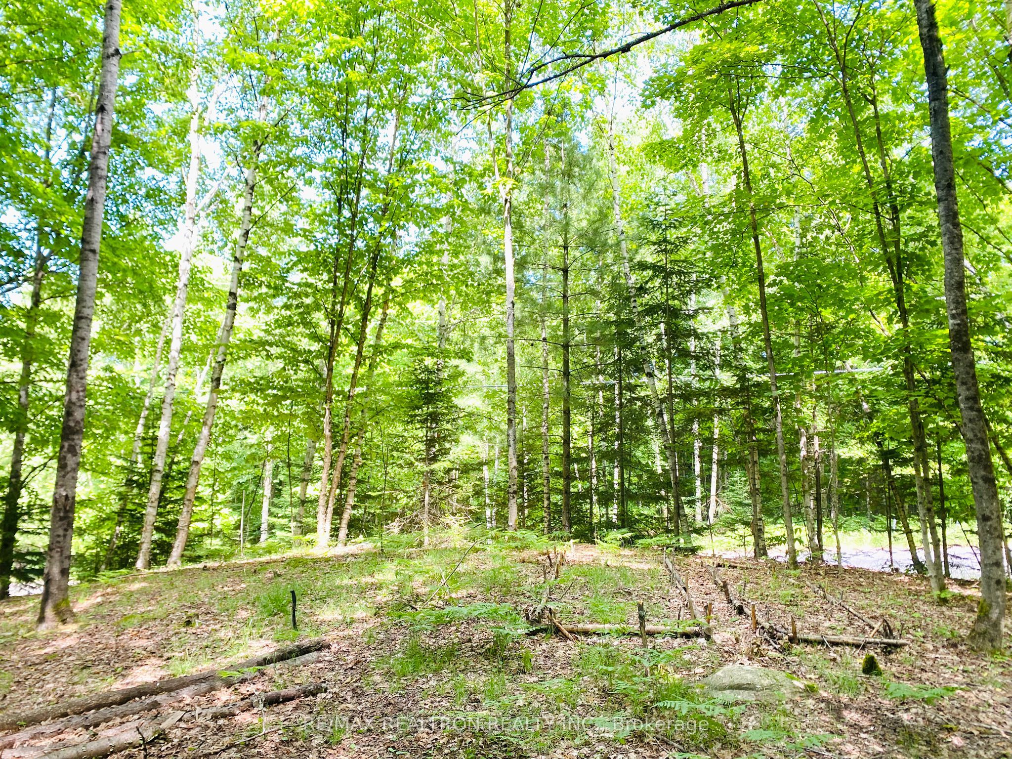 1133 Bushwolf Lake Road Property Photo 14