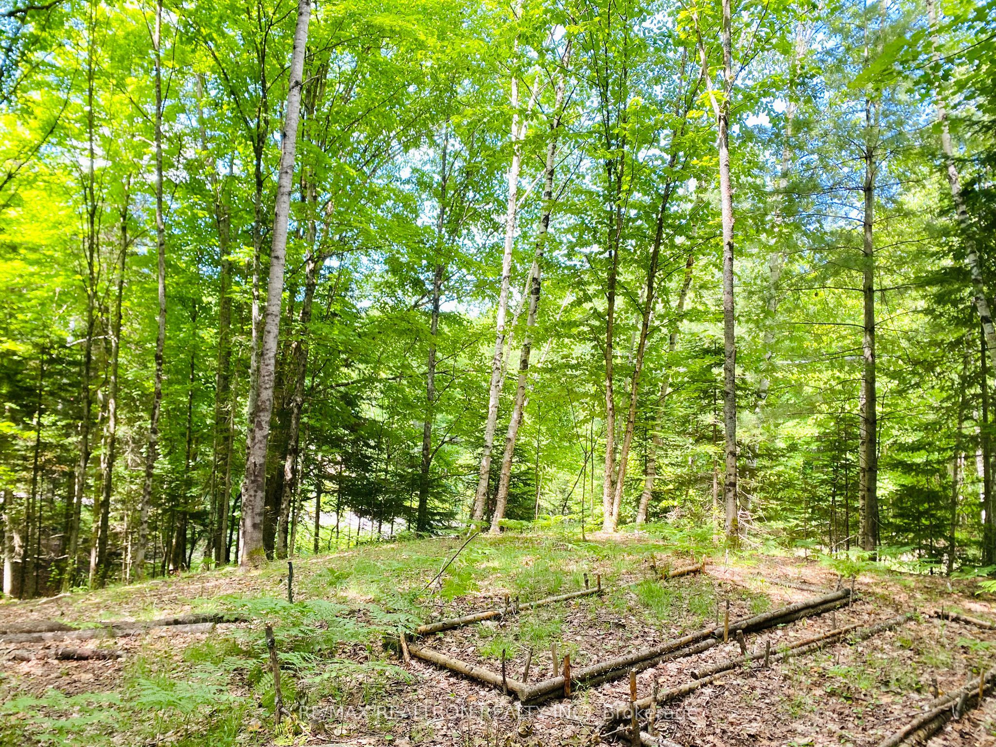 1133 Bushwolf Lake Road Property Photo 15
