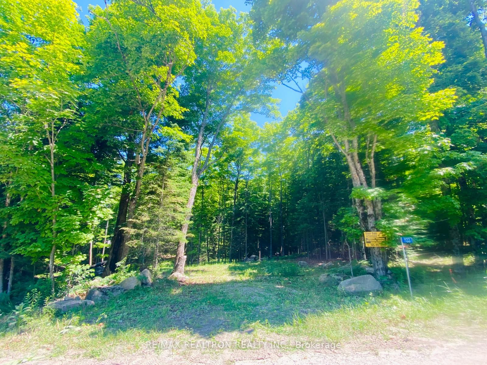 1133 Bushwolf Lake Road Property Photo 16