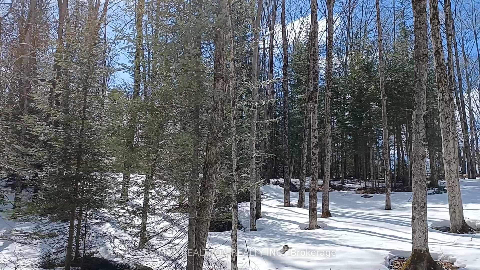 1133 Bushwolf Lake Road Property Photo 29