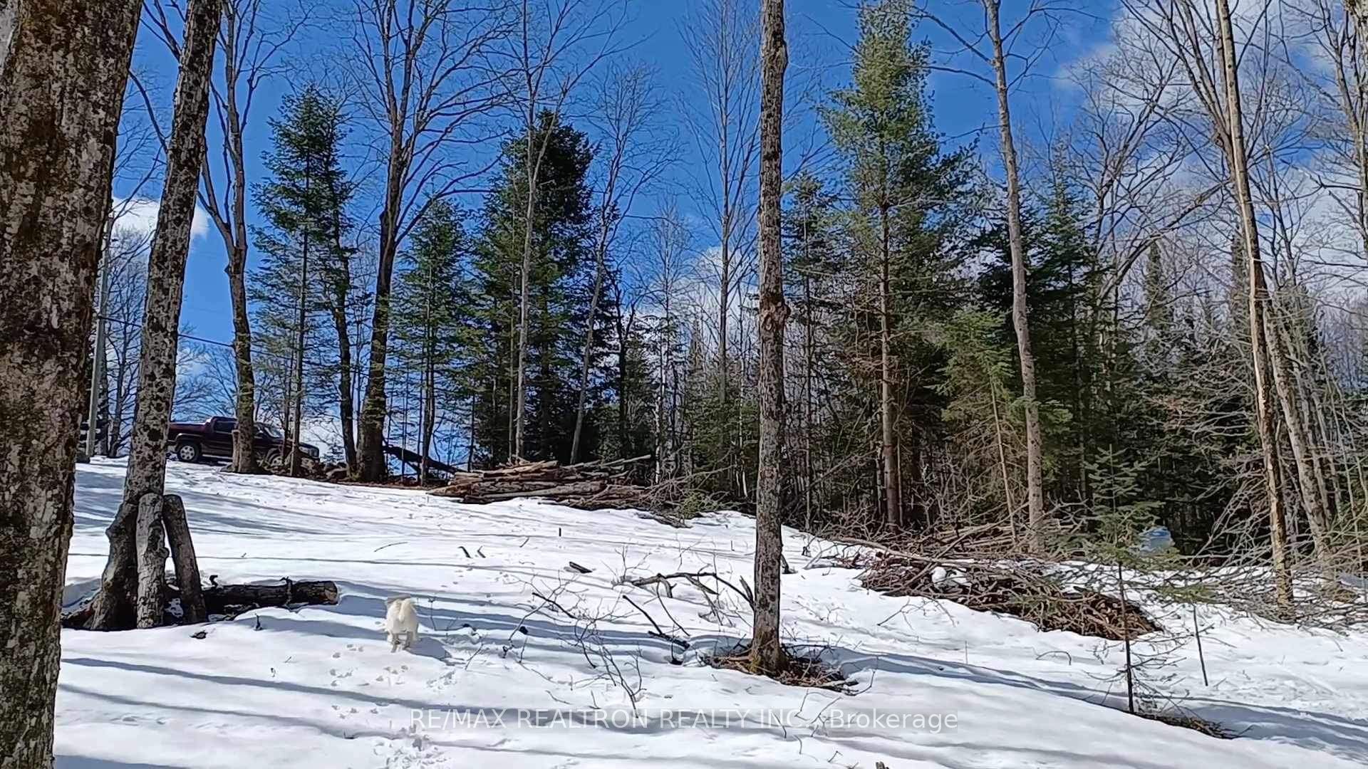 1133 Bushwolf Lake Road Property Photo 30