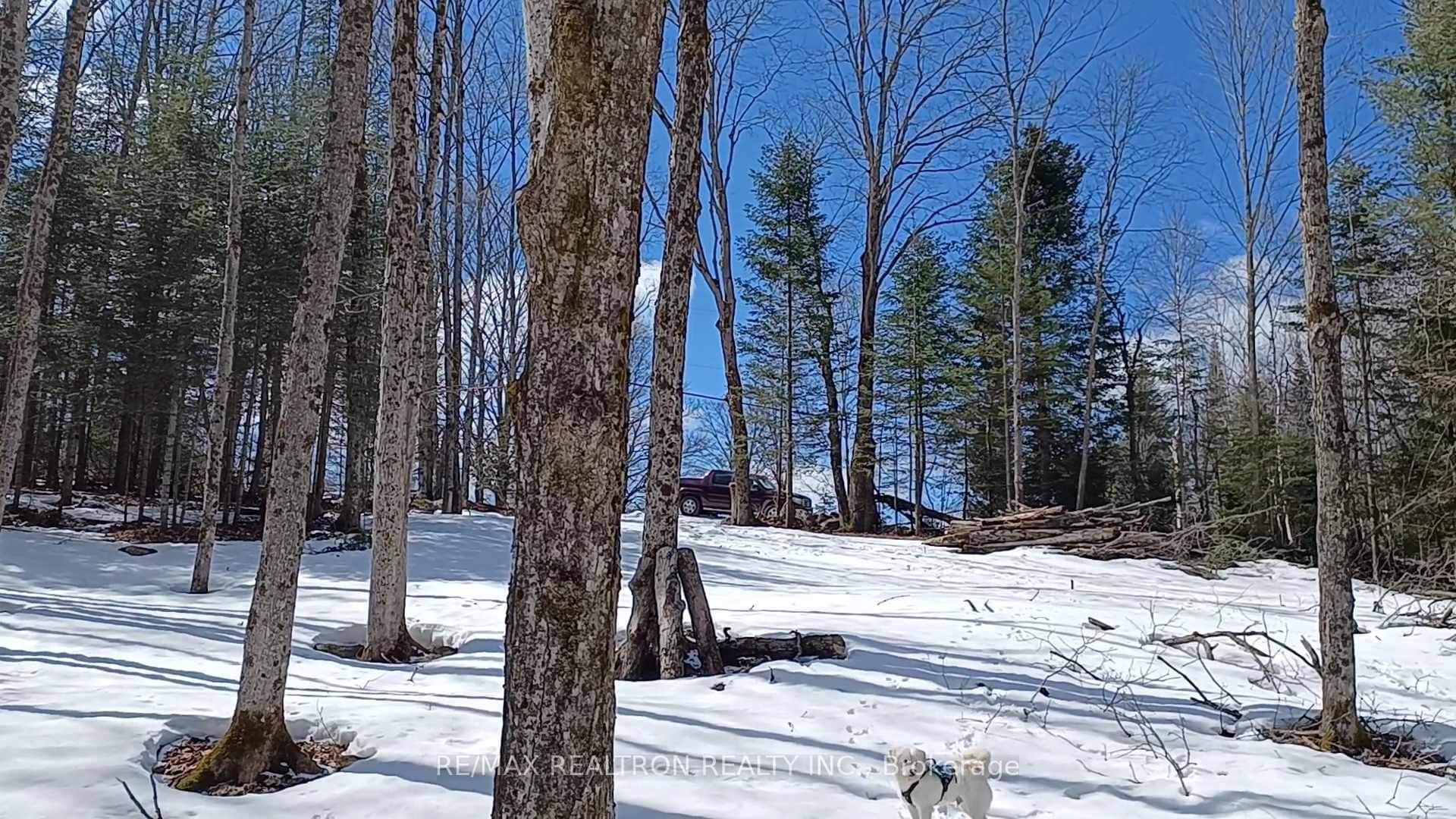 1133 Bushwolf Lake Road Property Photo 31