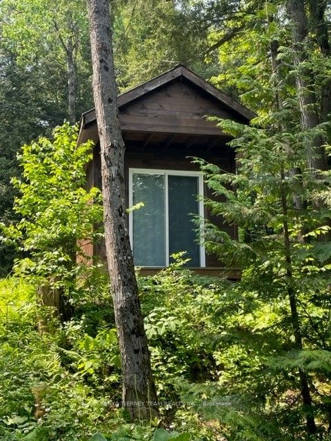 86 Fire Route 74d Property Photo 22