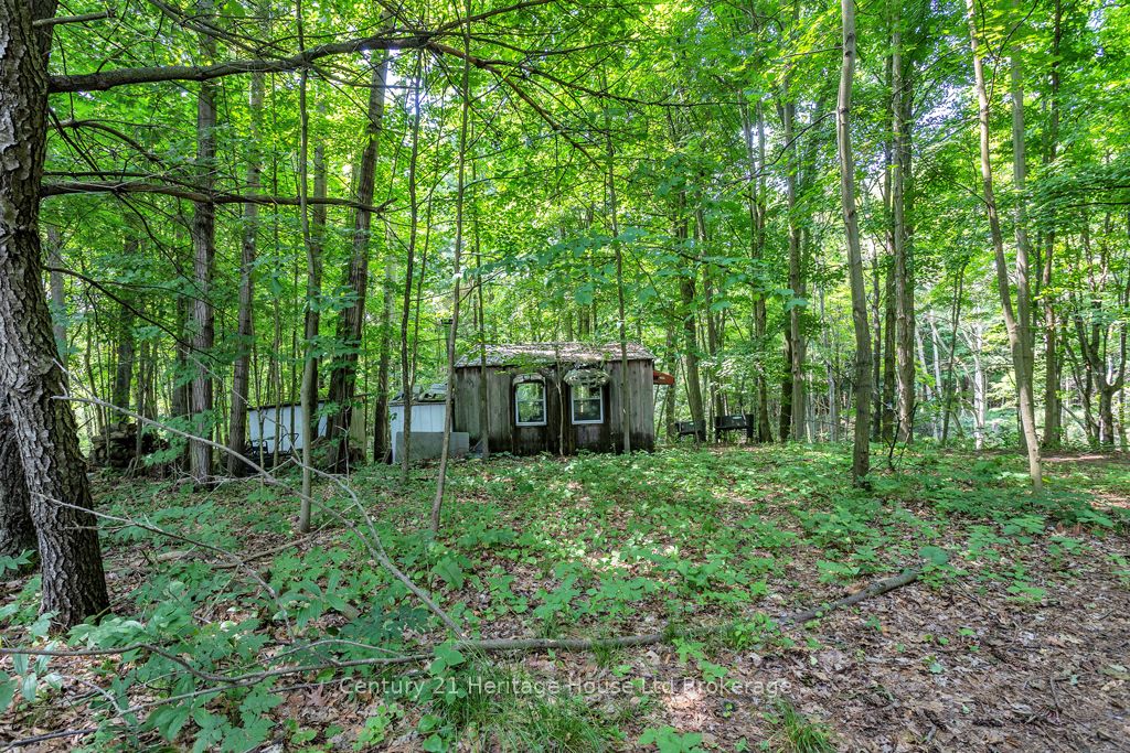 686 Goshen Road Property Photo 36