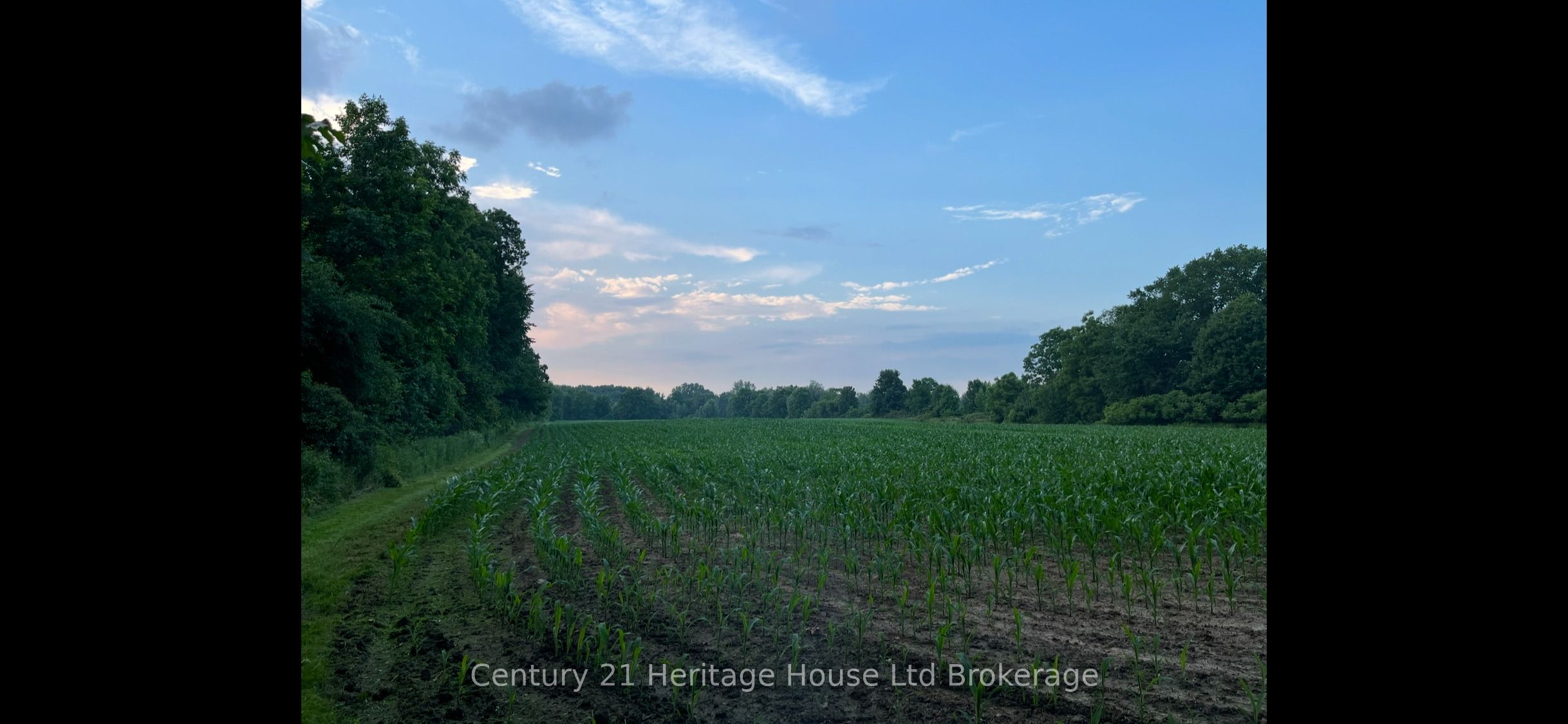 686 Goshen Road Property Photo 46